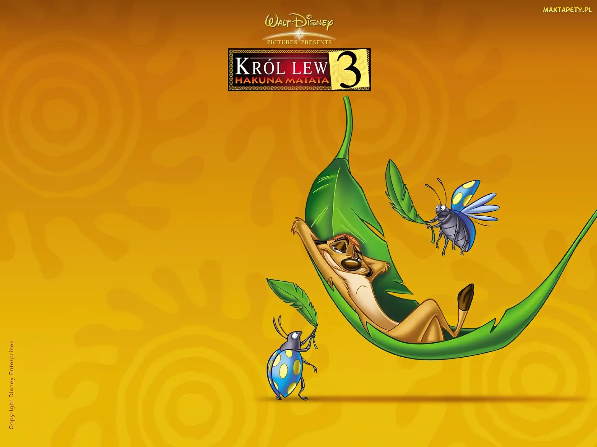 The Lion King, liść, owady, Timon, Król Lew 3