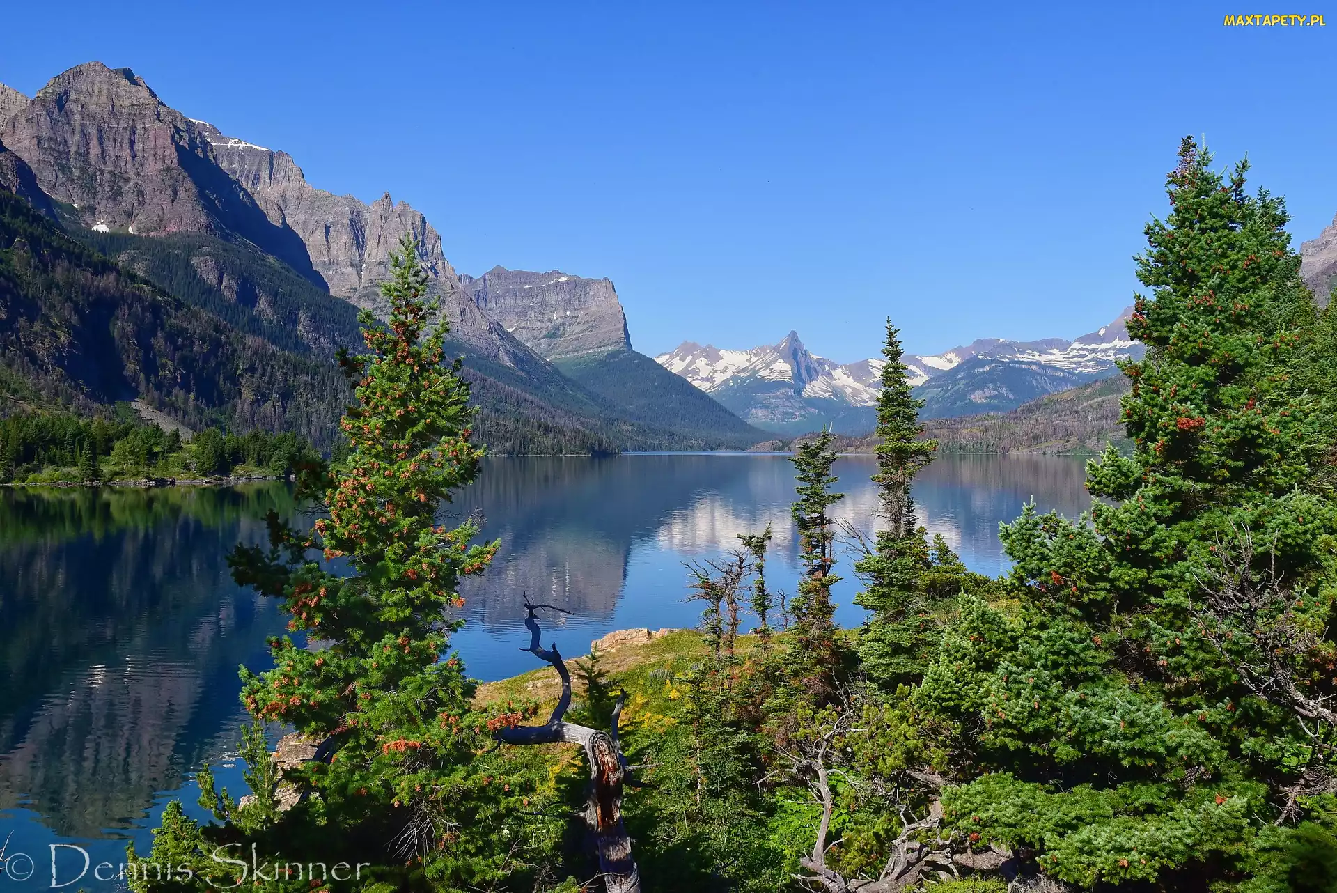 Montana, Sierra Nevada Mountains, Stany Zjednoczone, Góry, St Mary Lake, Park Narodowy Glacier, Drzewa, Jezioro