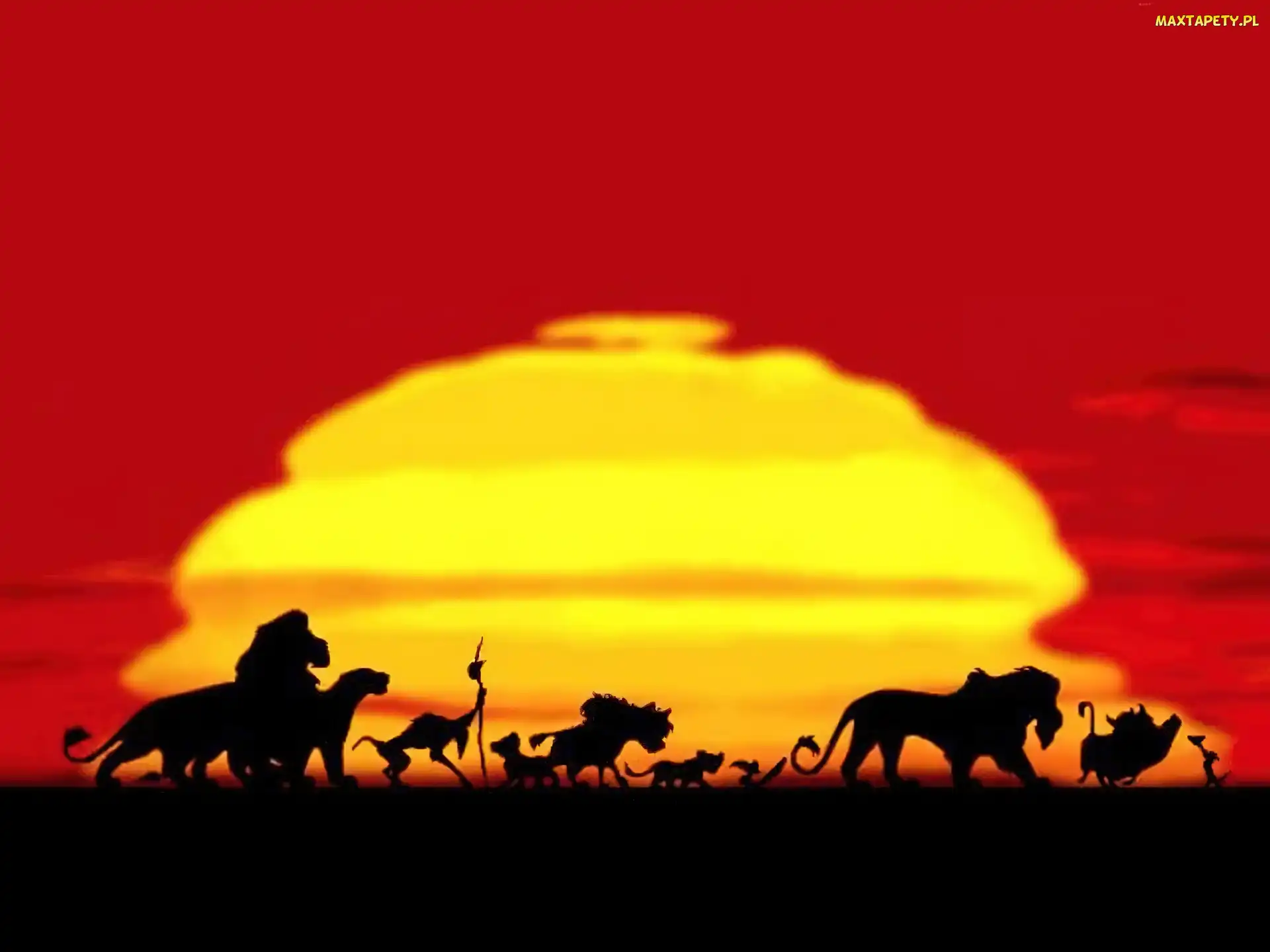 Zachód słońca, Zwierzęta, Król Lew, The Lion King