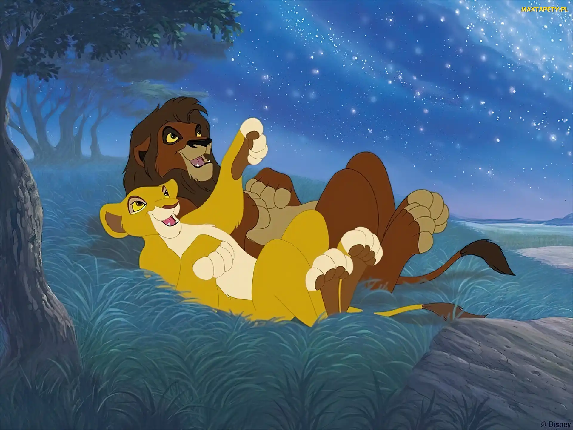trawa, gwiazdy, Król Lew 2, The Lion King