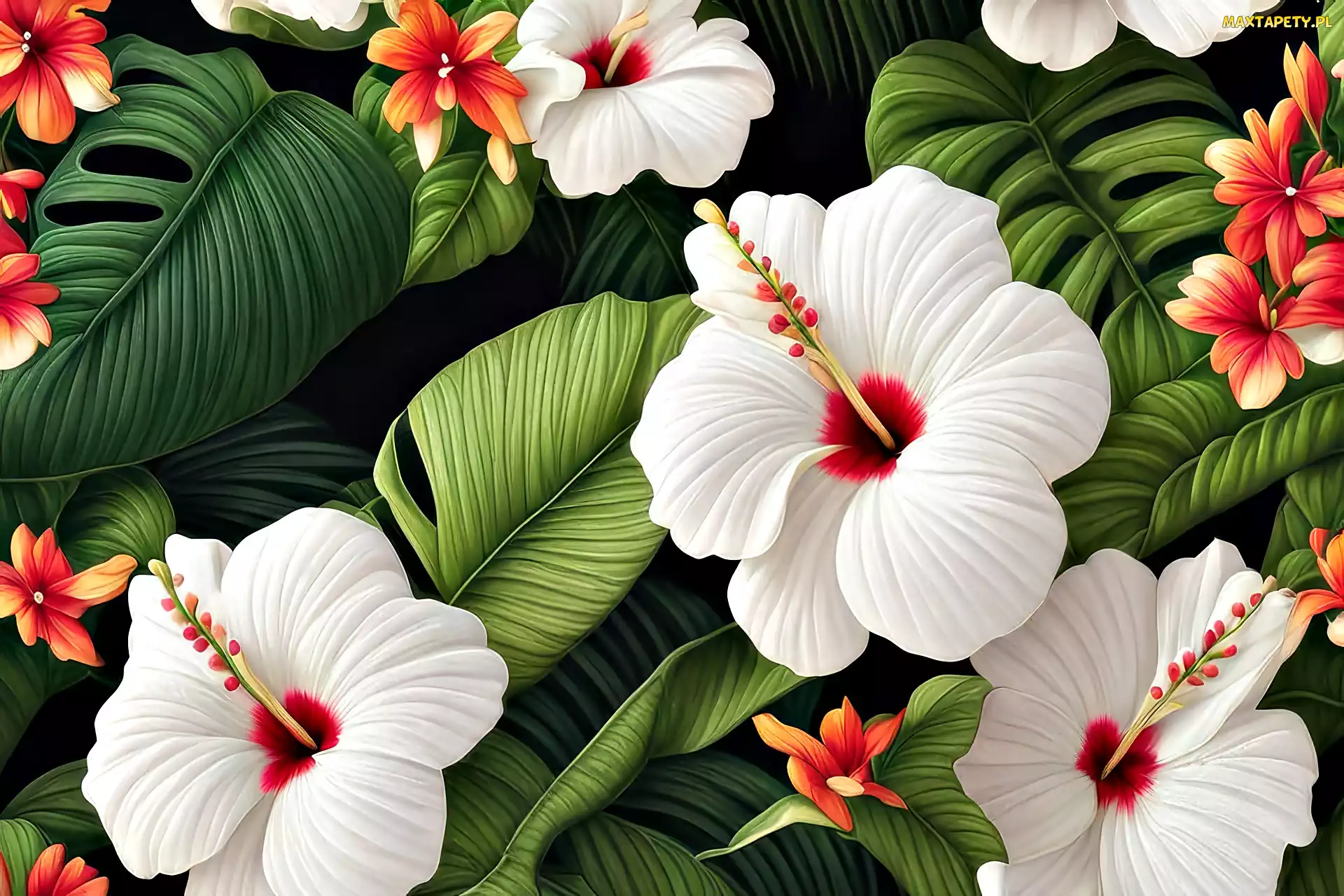 Kwiaty, Grafika, Liście, Białe, Hibiskusy
