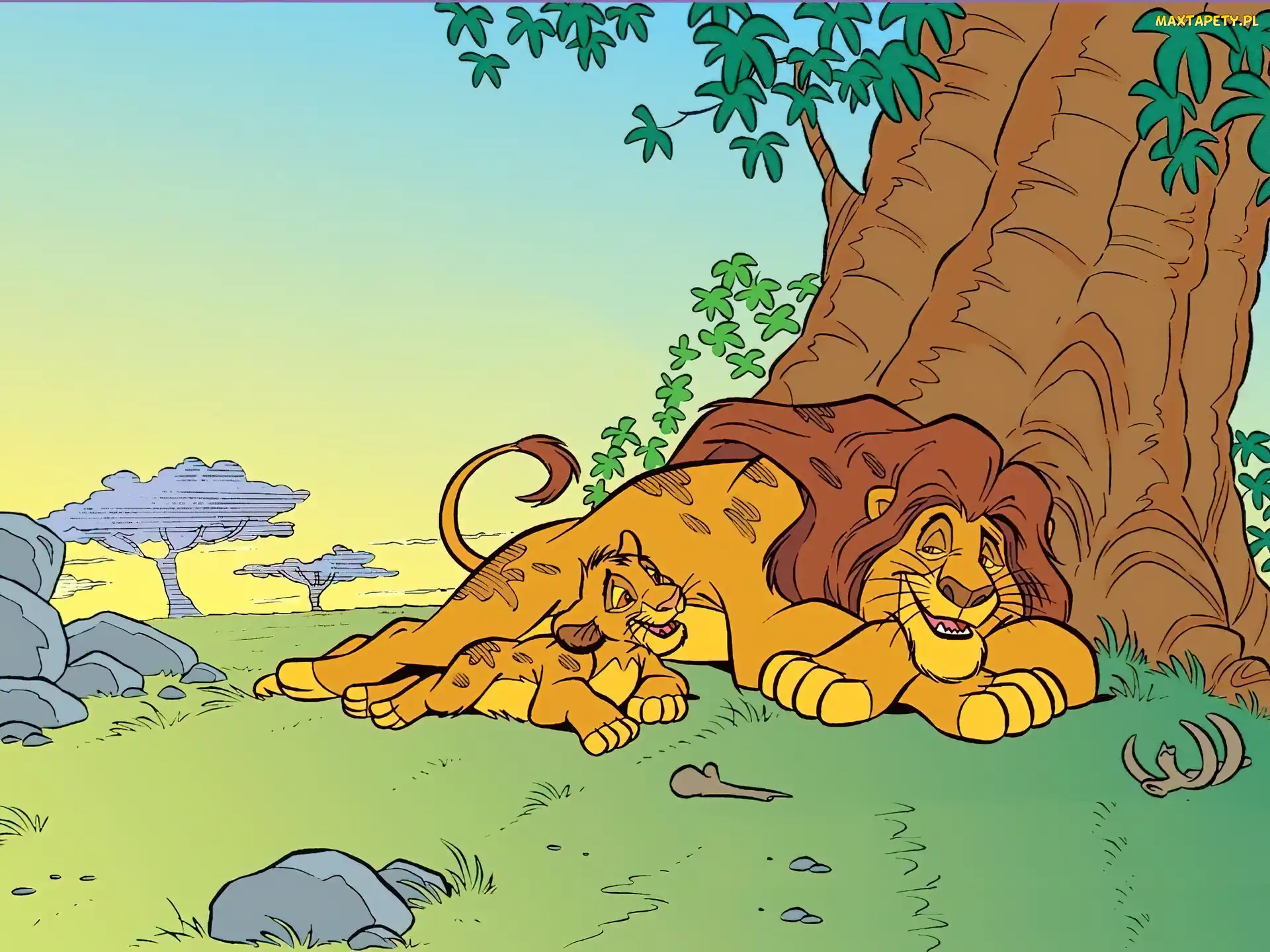 Simba, The Lion King, Mufasa, Król Lew