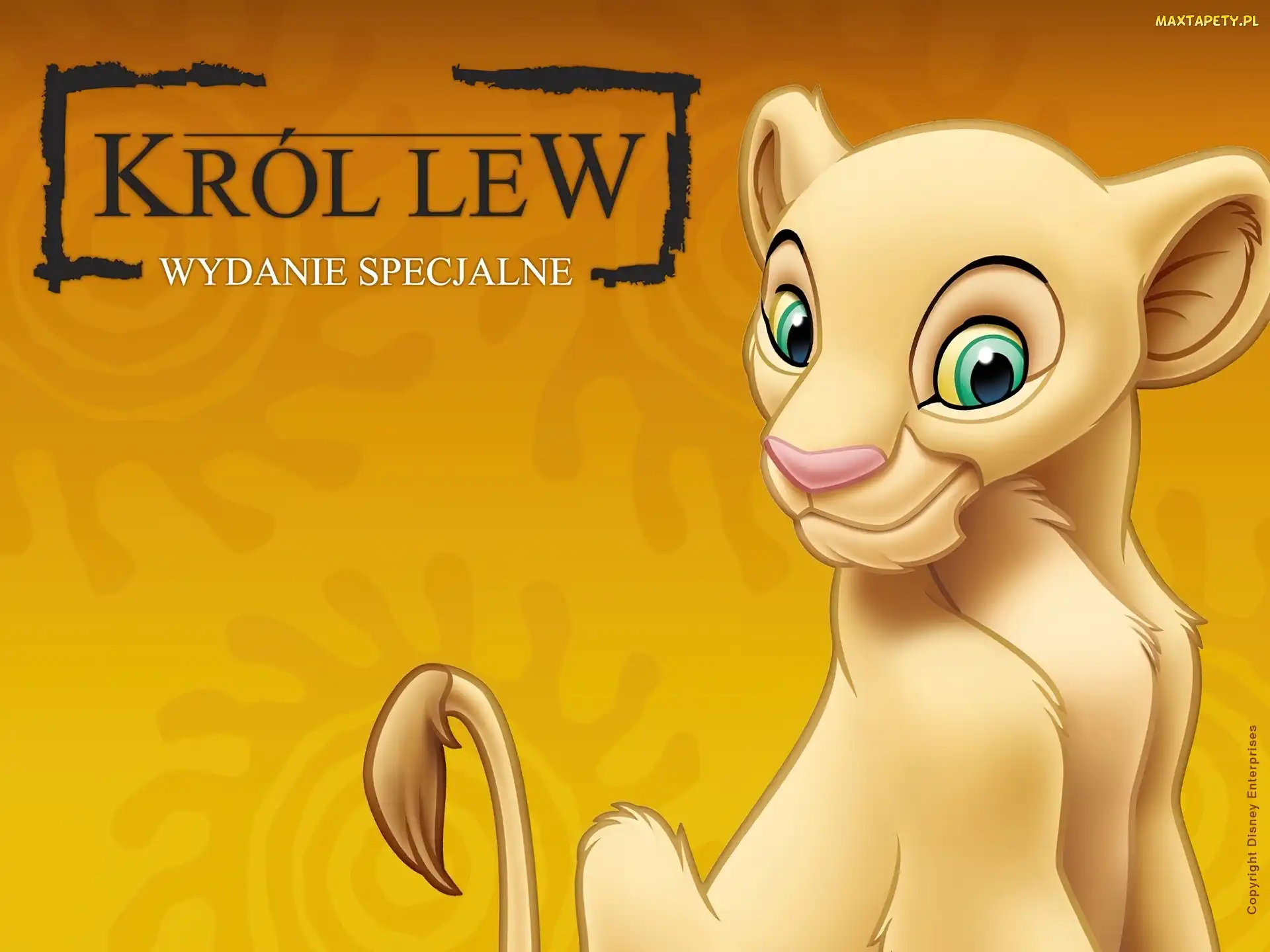 Król Lew, The Lion King, Nala