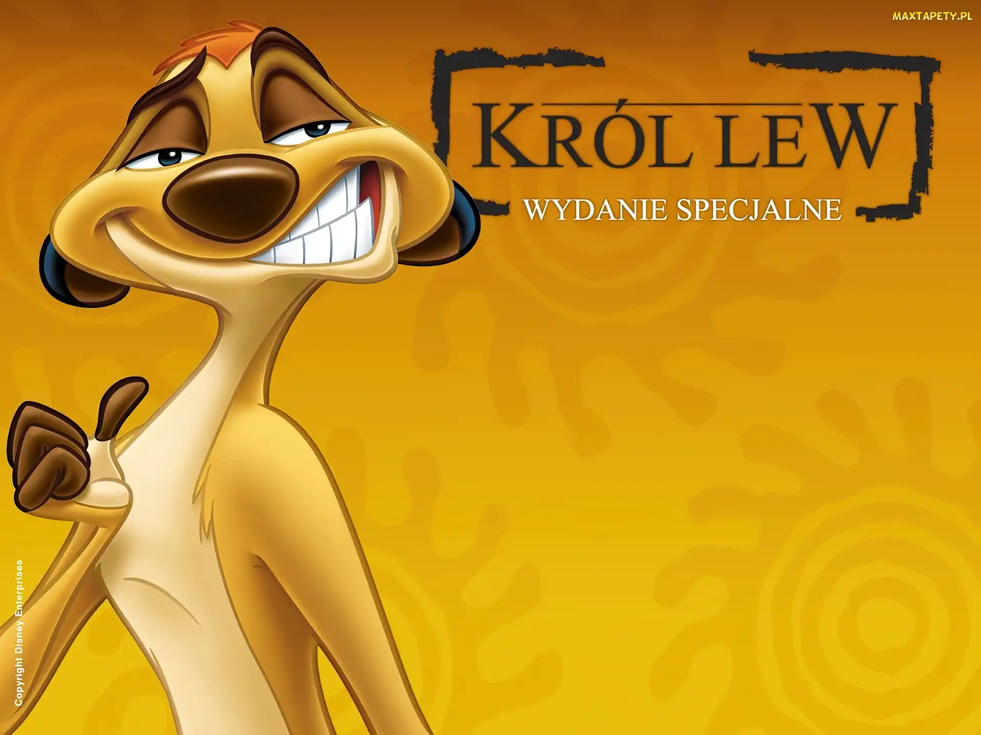 The Lion King, Król Lew, Timon, Uśmiech