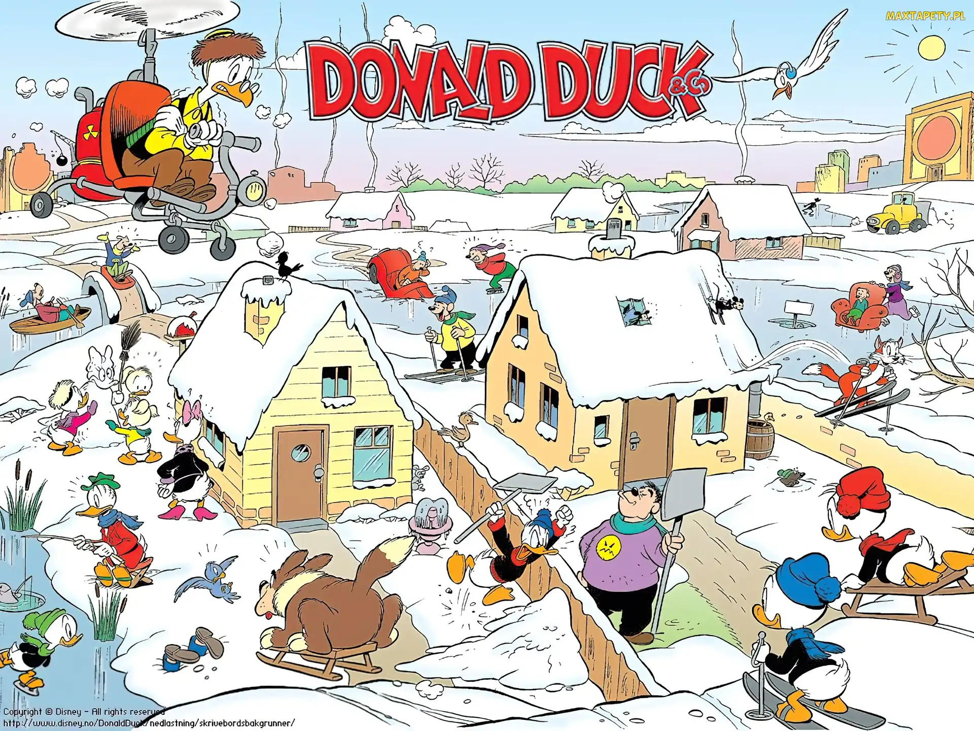 Kaczor Donald, zabawy, zima
