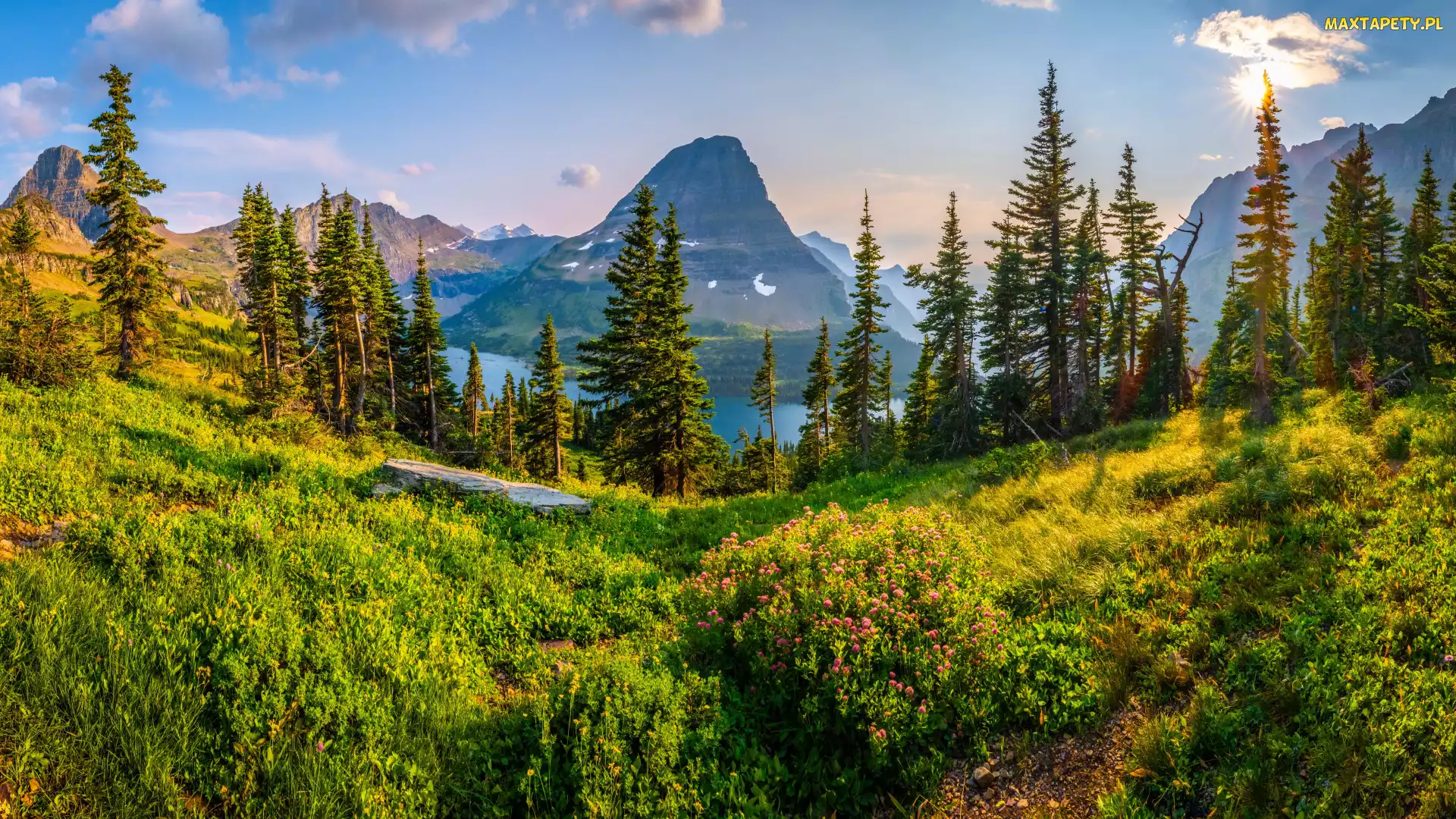 Stany Zjednoczone, Krzewy, Saint Mary Lake, Trawa, Drzewa, Jezioro, Montana, Park Narodowy Glacier, Góry