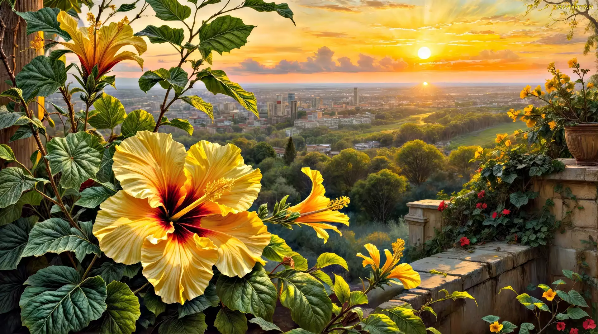 Kwiaty, Grafika, Zachód słońca, Widok, Hibiskus