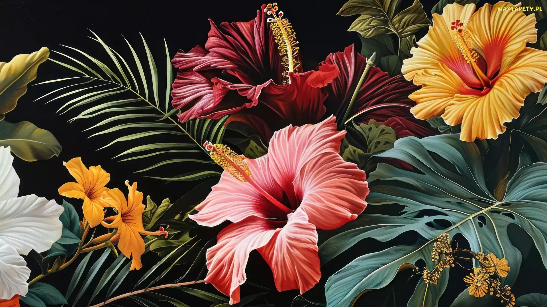 Hibiskusy, Liście, Grafika, Kwiaty
