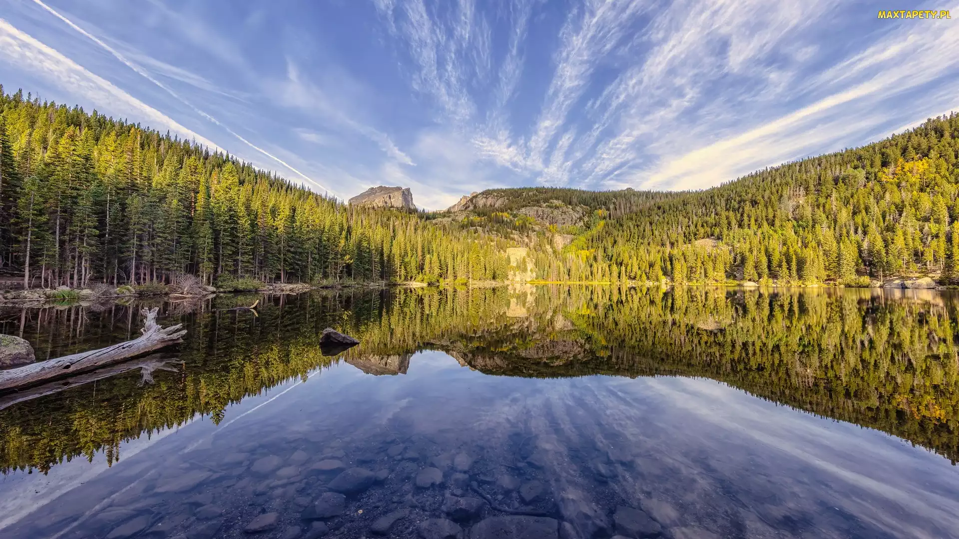 Bear Lake, Stany Zjednoczone, Jezioro, Stan Kolorado, Las, Park Narodowy Gór Skalistych, Odbicie, Drzewa