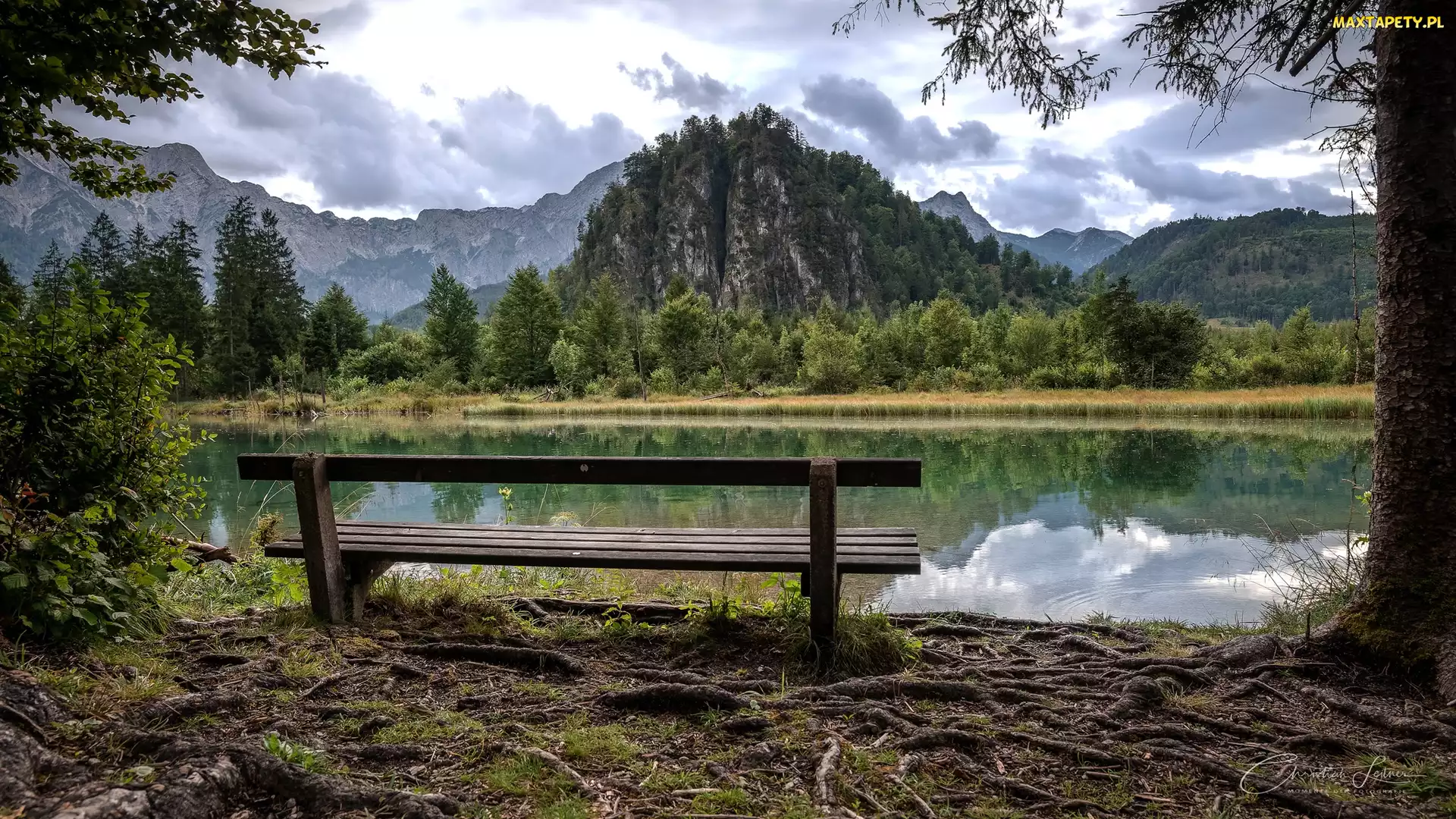 Drzewa, Ławka, Góry, Austria, Jezioro, Almsee