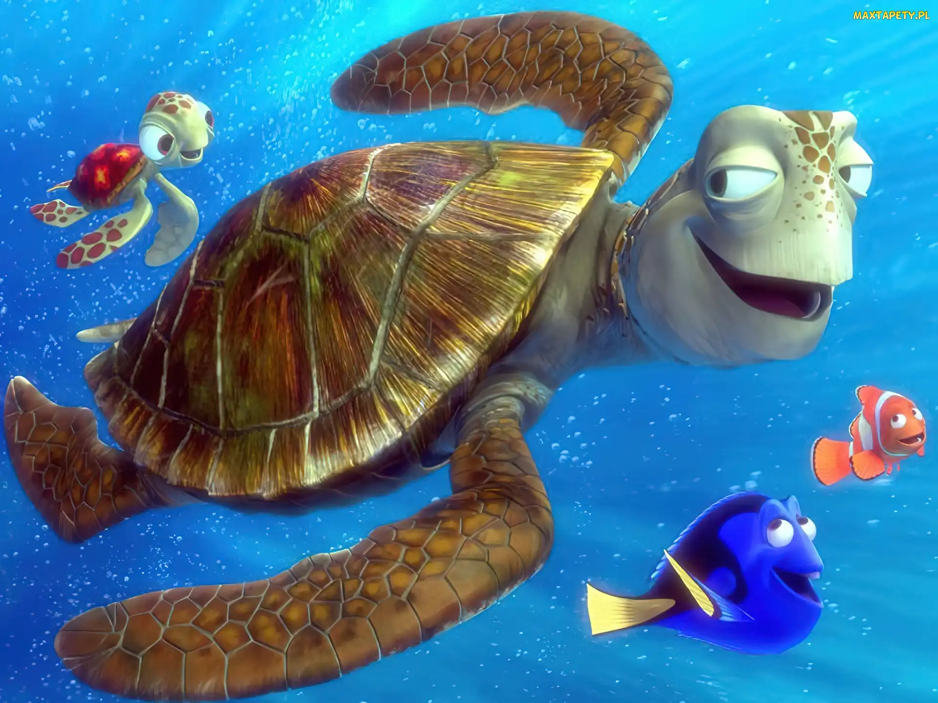 żółw, Finding Nemo, Gdzie jest Nemo, rybki