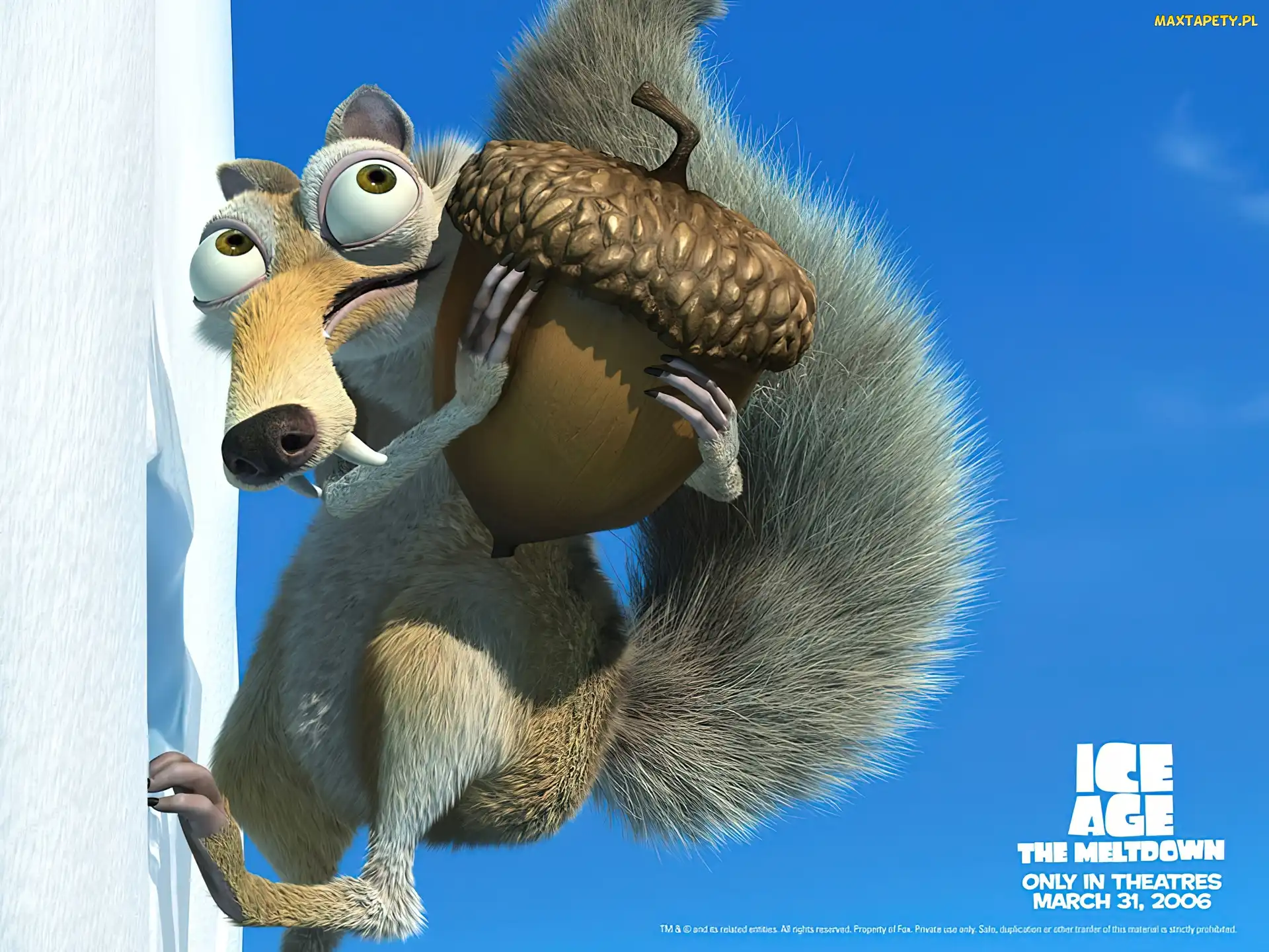 Ice Age The Meltdown, Epoka Lodowcowa 2 Odwilż, wiewiór, żołądź