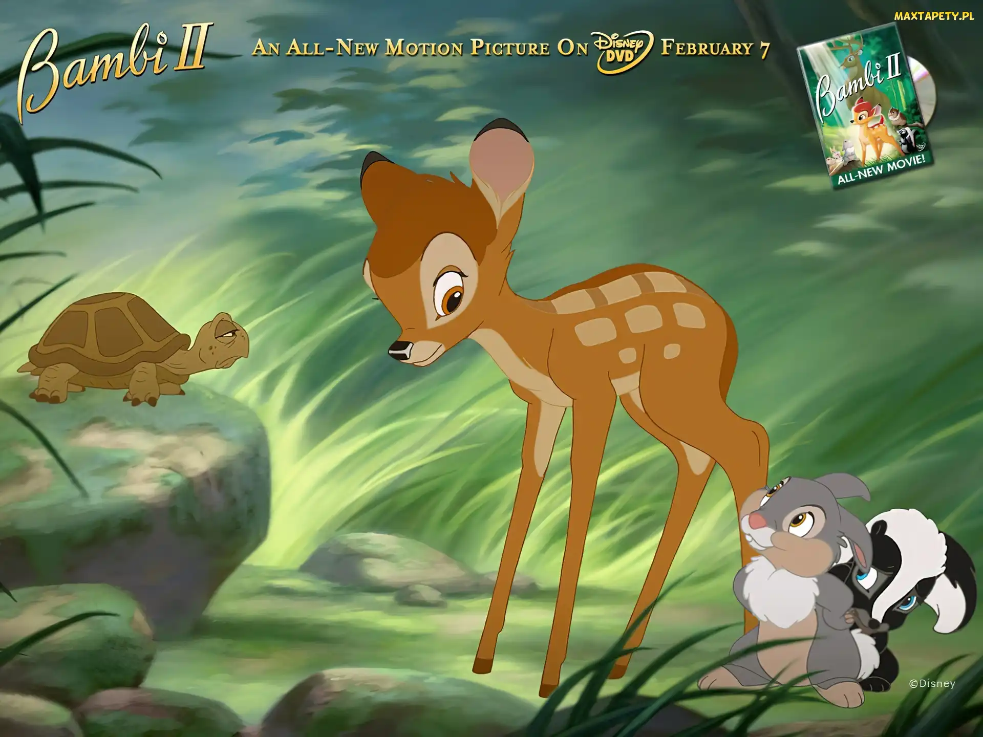 Jelonek, skunks, królik, żółw, Bambi 2