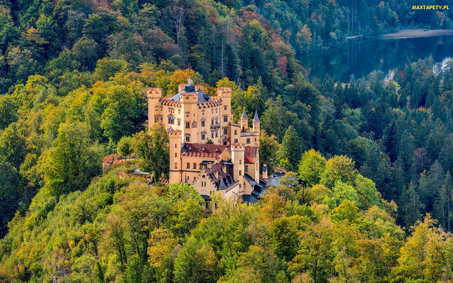 Zamek Hohenschwangau, Las, Bawaria, Niemcy, Góry, Alpy Bawarskie