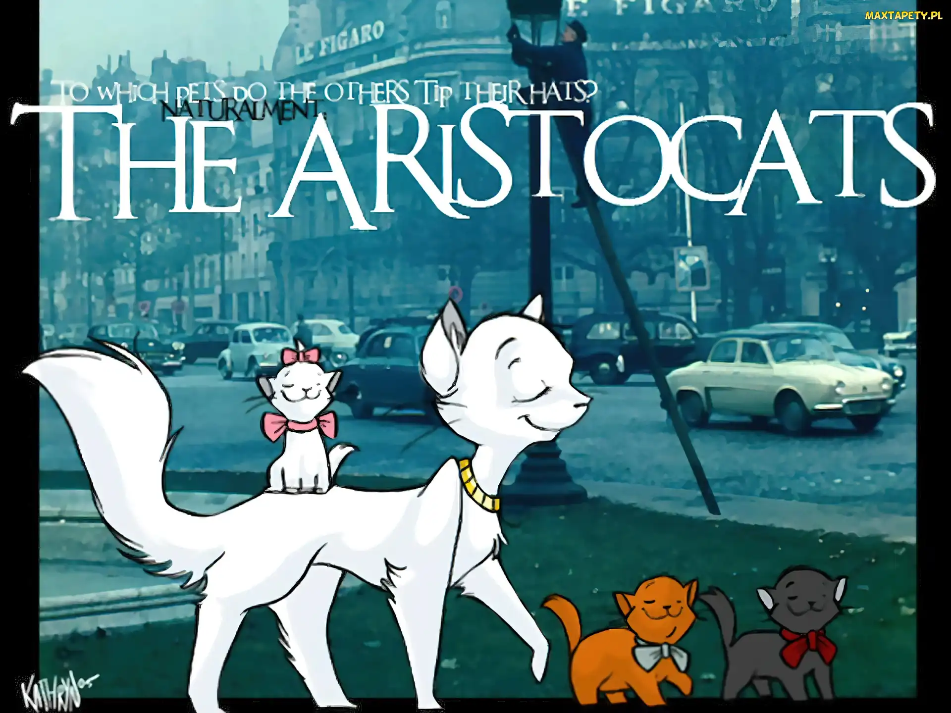 Aryskotraci, miasto, koty, The Aristocats, Film animowany