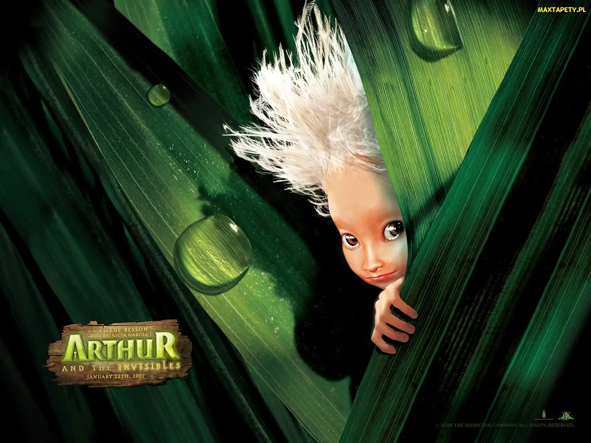 Arthur and the Invisibles, Artur i Minimki, liście, krople