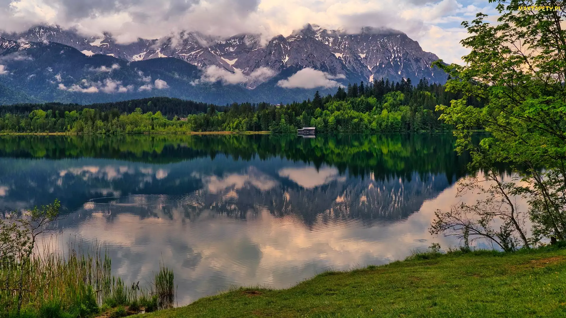 Niemcy, Bawaria, Drzewa, Jezioro Barmsee, Góry, Odbicie