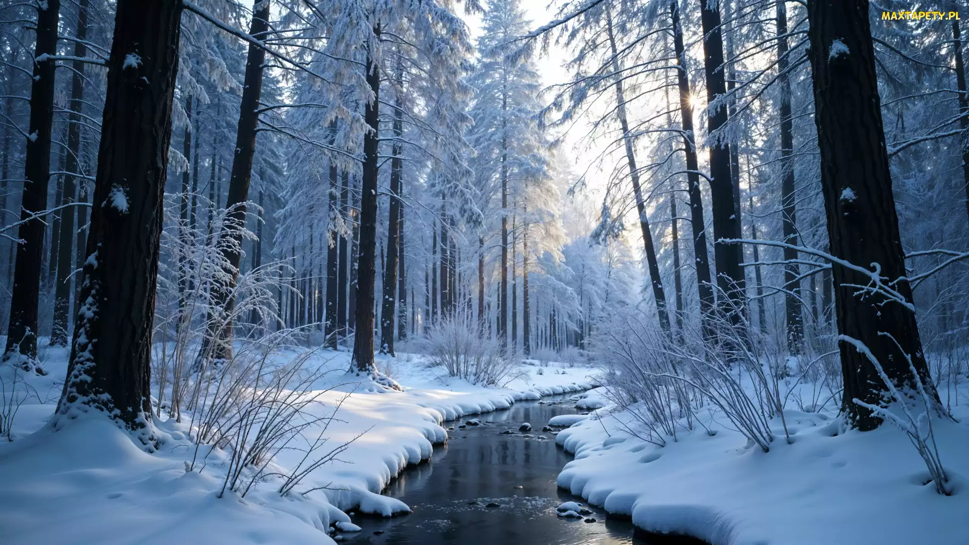 Śnieg, Rzeka, Las, Zima, Ośnieżone, Drzewa