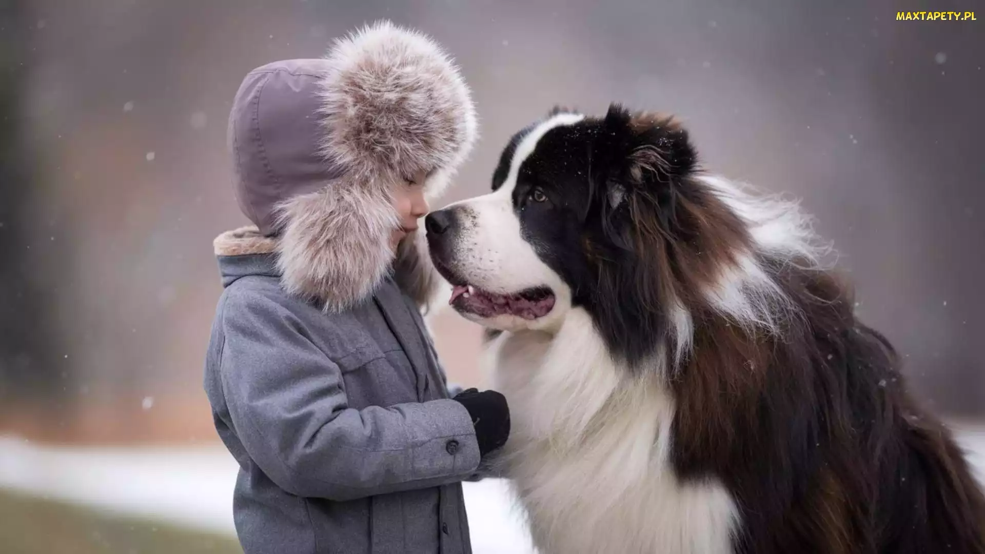 Pies, Przyjaźń, Dziecko