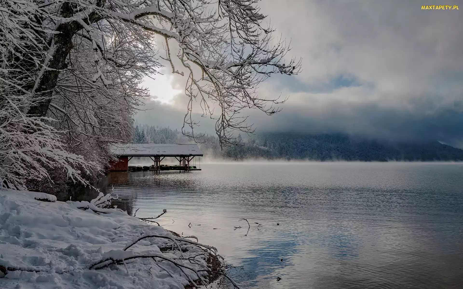 Niemcy, Mgła, Gałązki, Chmury, Śnieg, Drzewa, Bawaria, Zima, Jezioro Alpsee