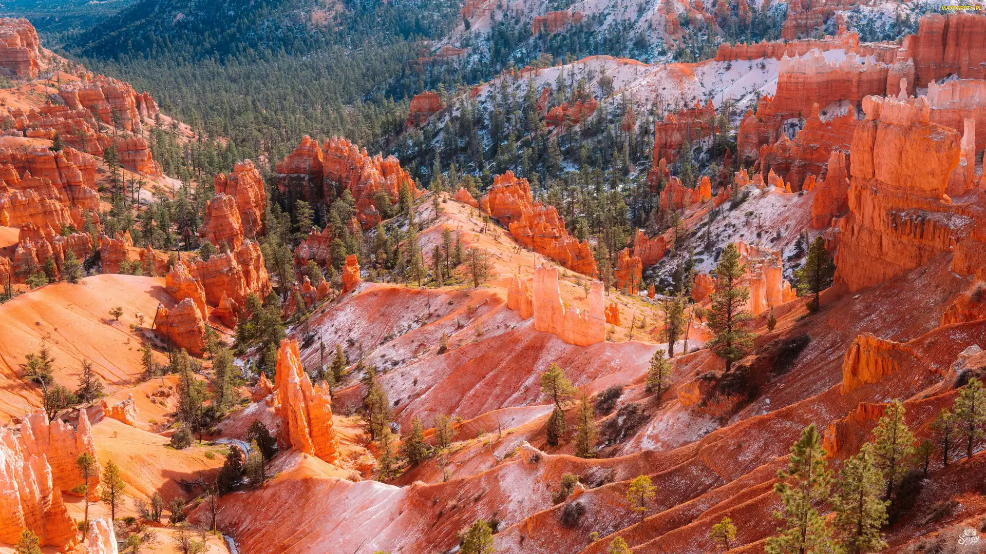 Stany Zjednoczone, Stan Utah, Skały, Park Narodowy Bryce Canyon