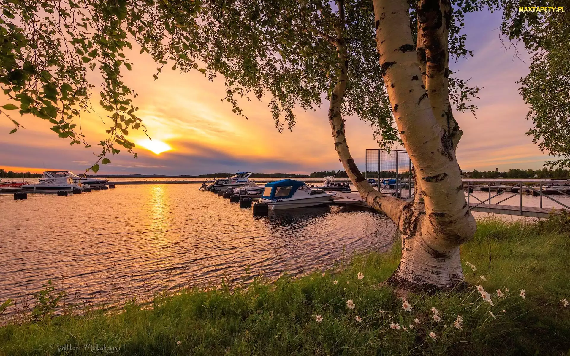 Jezioro, Vuokatti, Przystań, Finlandia, Sotkamo, Motorówki, Zachód słońca, Drzewa, Brzoza