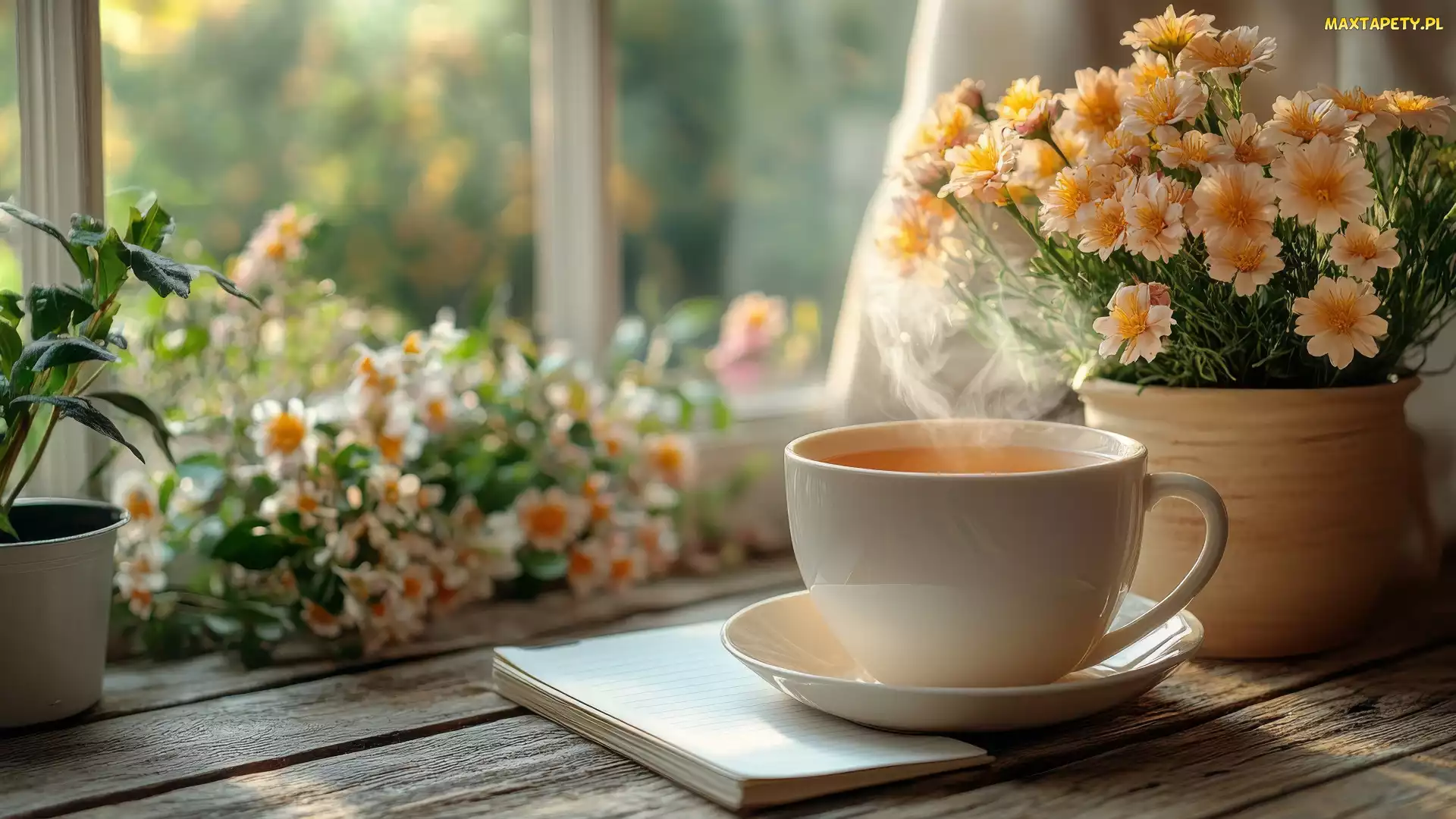 Deski, Donica, Filiżanka, Okno, Kwiaty, Parapet, Herbata
