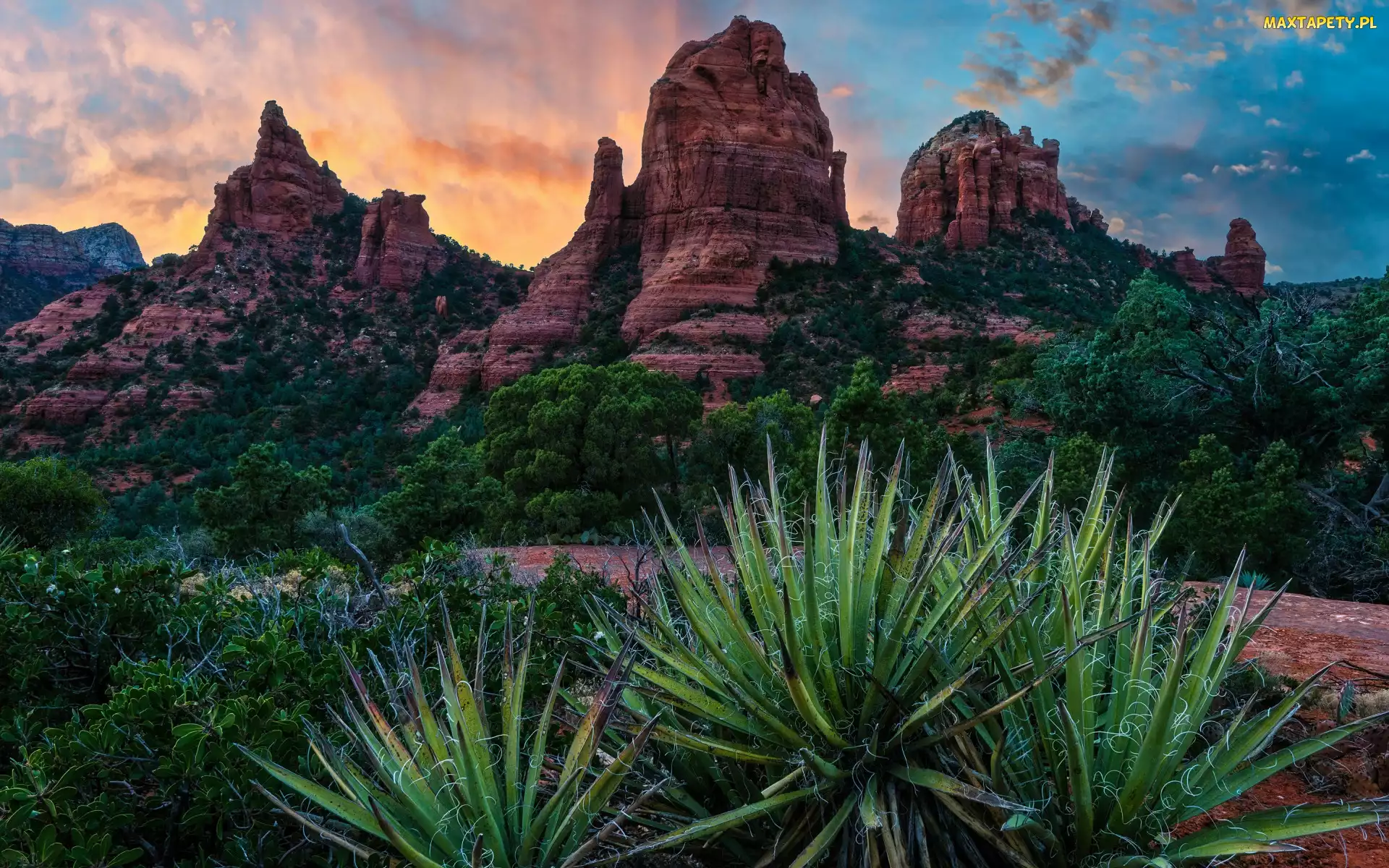 Chmury, Drzewa, Szczyty, Juki, Sedona, Arizona, Red Rock, Góry, Stany Zjednoczone, Skały