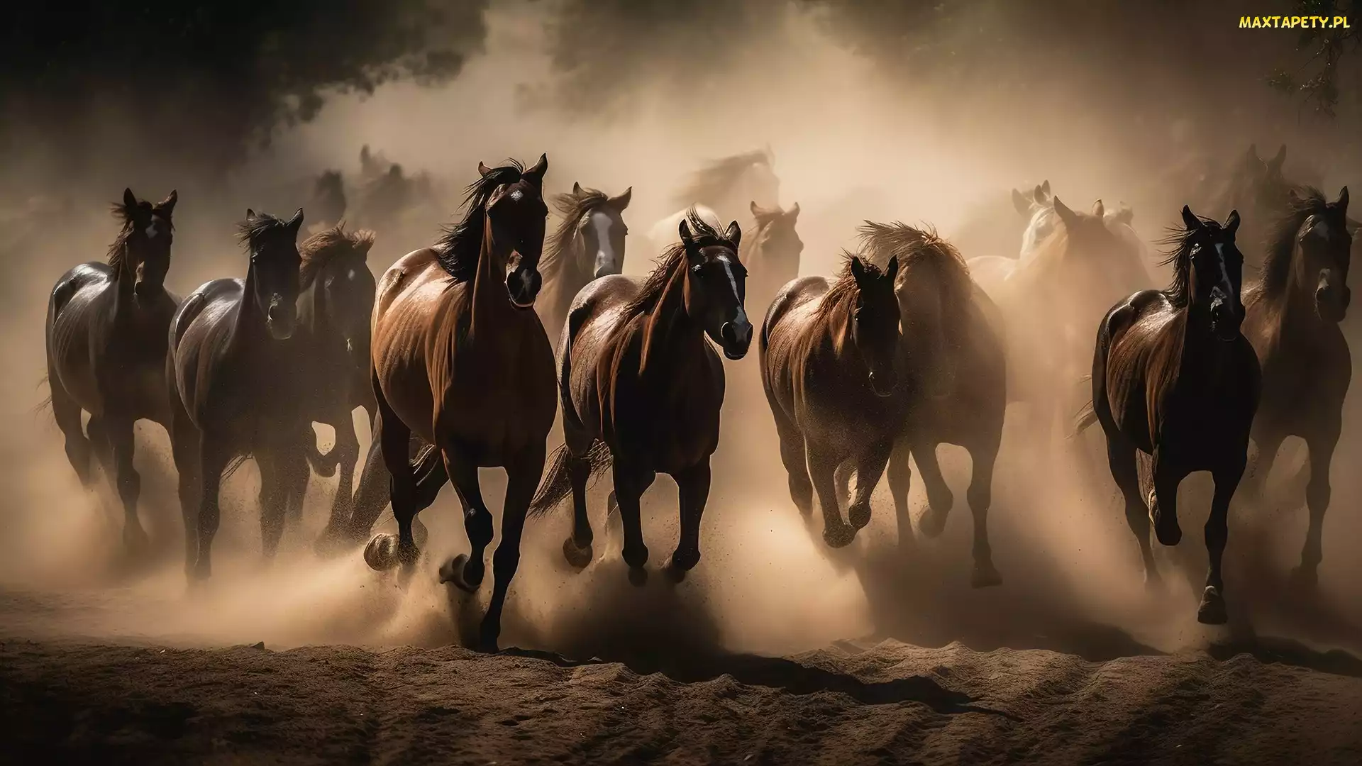 Konie, Kurz, Piasek, Galop, Stado