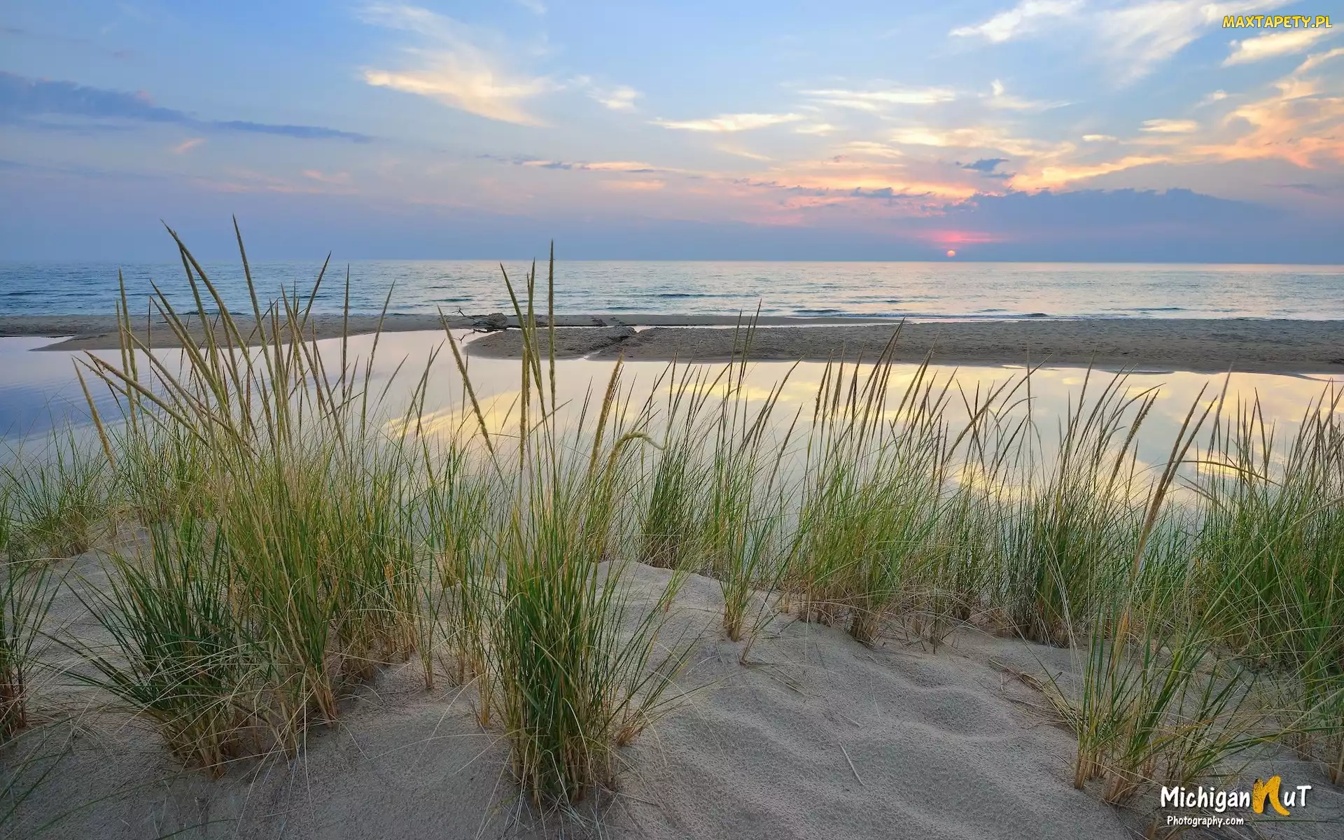 Trawy, Szuwary, Michigan, Piasek, Lake Michigan, Stany Zjednoczone, Jezioro