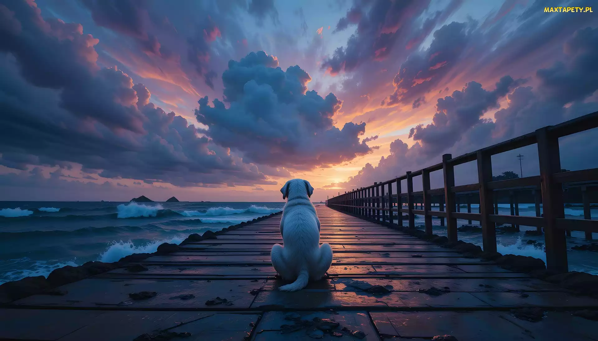 Pies, Chmury, Zachód słońca, Pomost, Morze