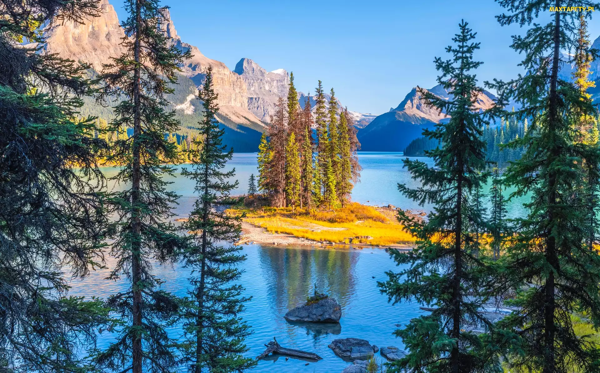 Drzewa, Wyspa Spirit Island, Park Narodowy Jasper, Alberta, Jezioro Maligne Lake, Kanada, Góry