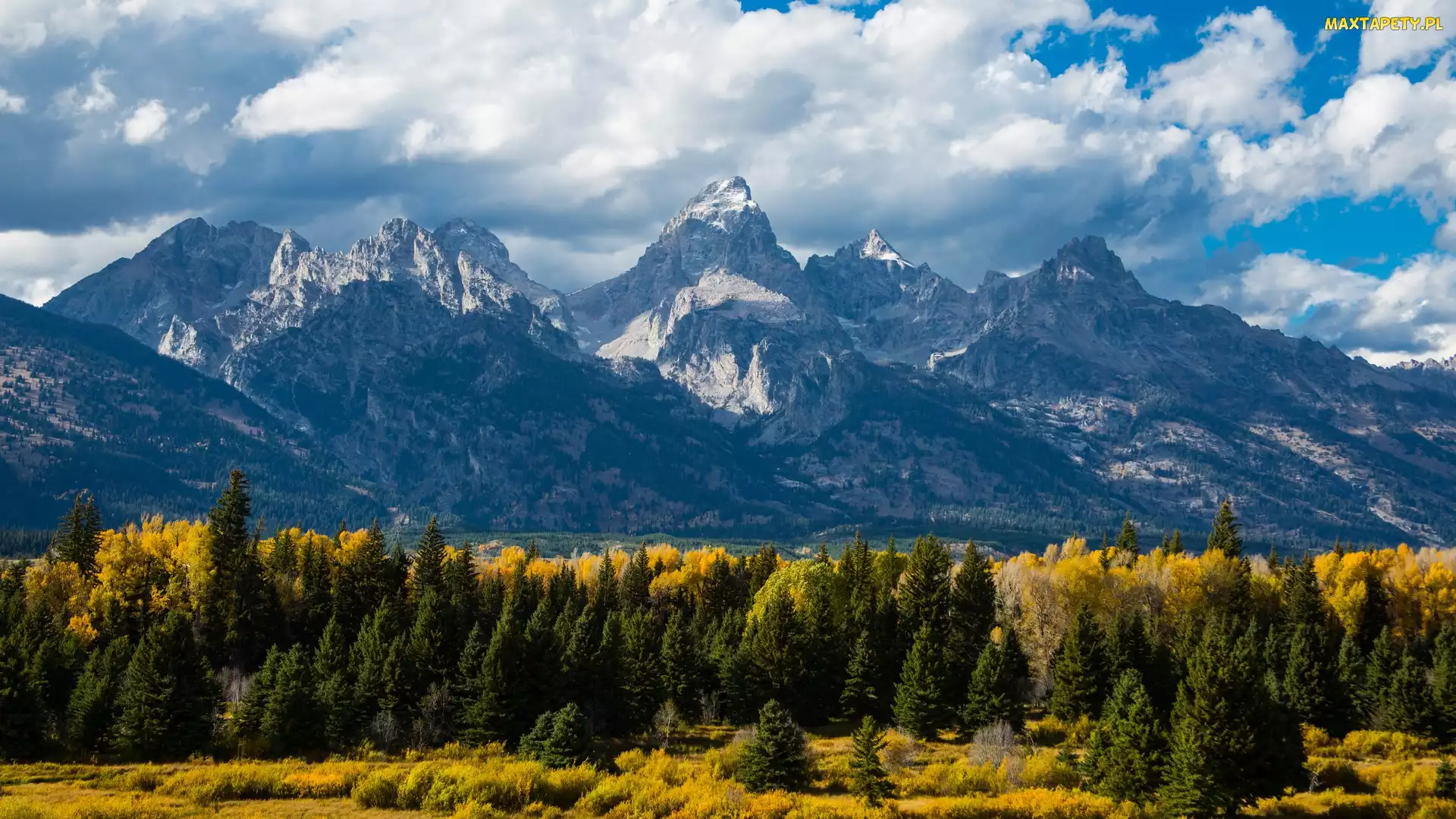 Utah, Chmury, Stany Zjednoczone, Góry, Drzewa, Park Narodowy Grand Teton, Jesień, Las