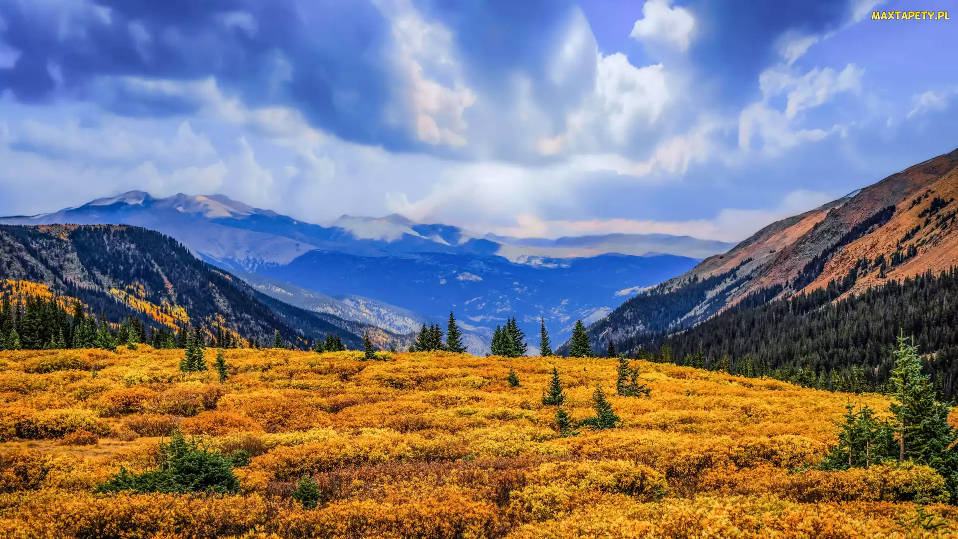 Stany Zjednoczone, Niebo, Las, Chmury, Drzewa, Polana, Kolorado, Guanella Pass Summit, Góry