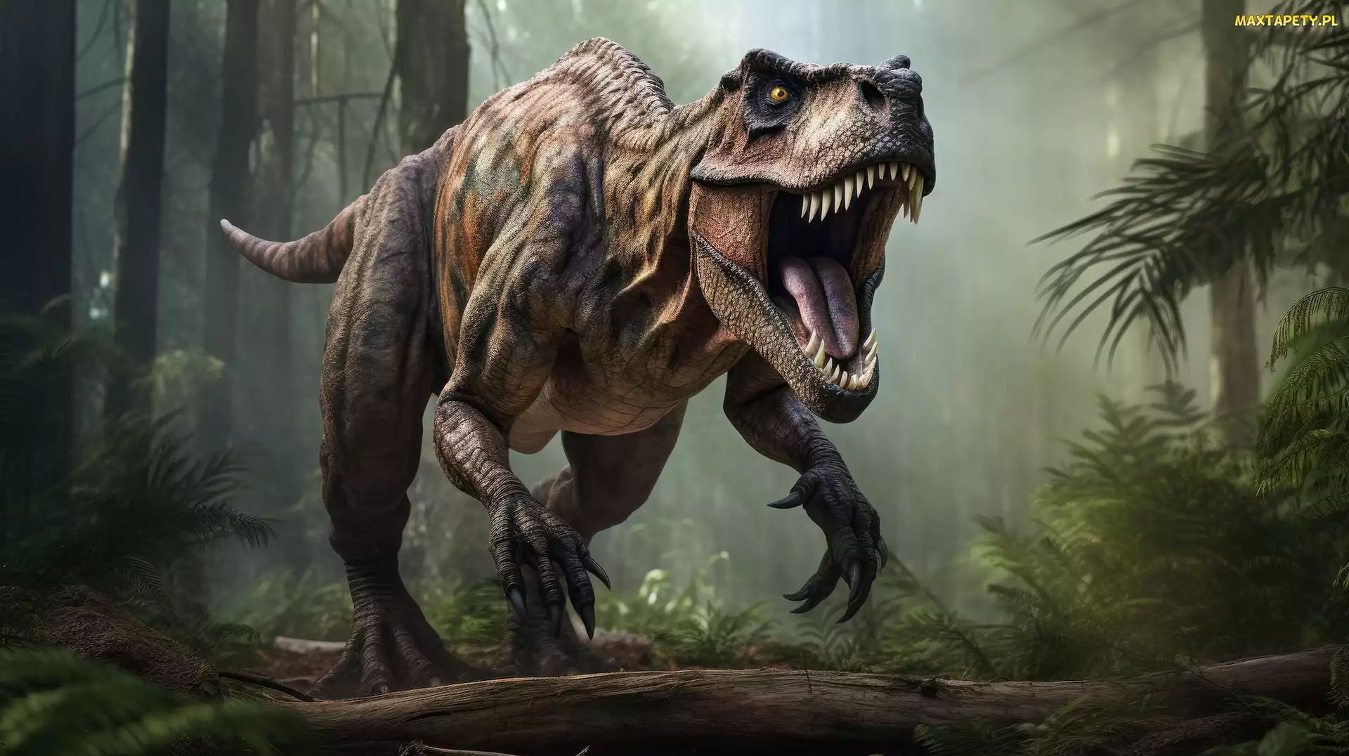 Tyranozaur, Grafika, Dinozaur