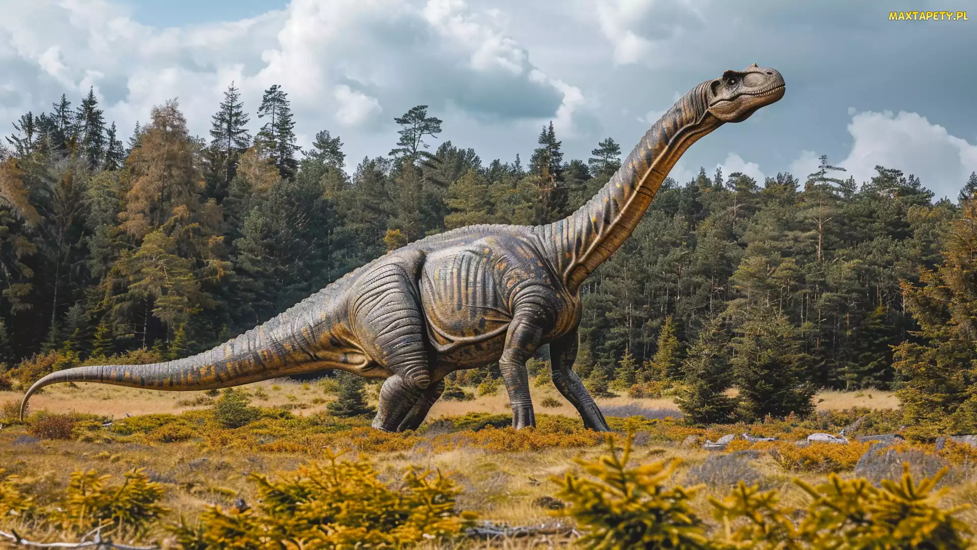 Grafika, Drzewa, Dinozaur, Brachiozaur