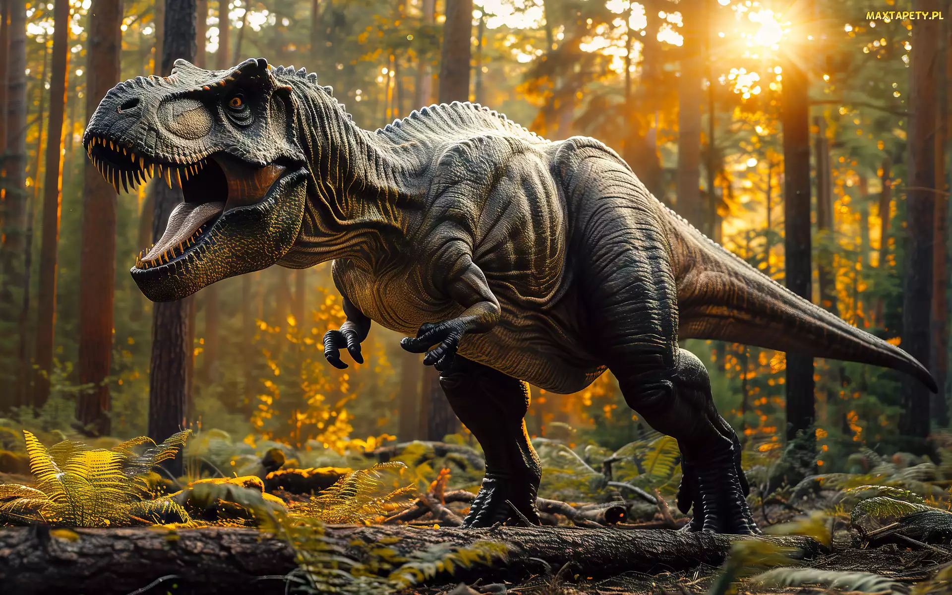 Dinozaur, Promienie słońca, Las, Tyranozaur, Grafika