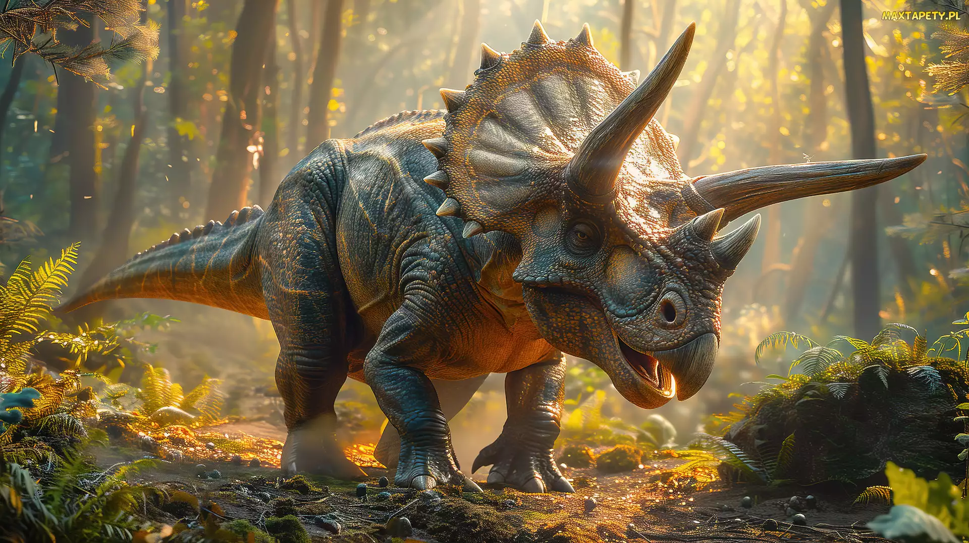 Triceratops, Grafika, Dinozaur