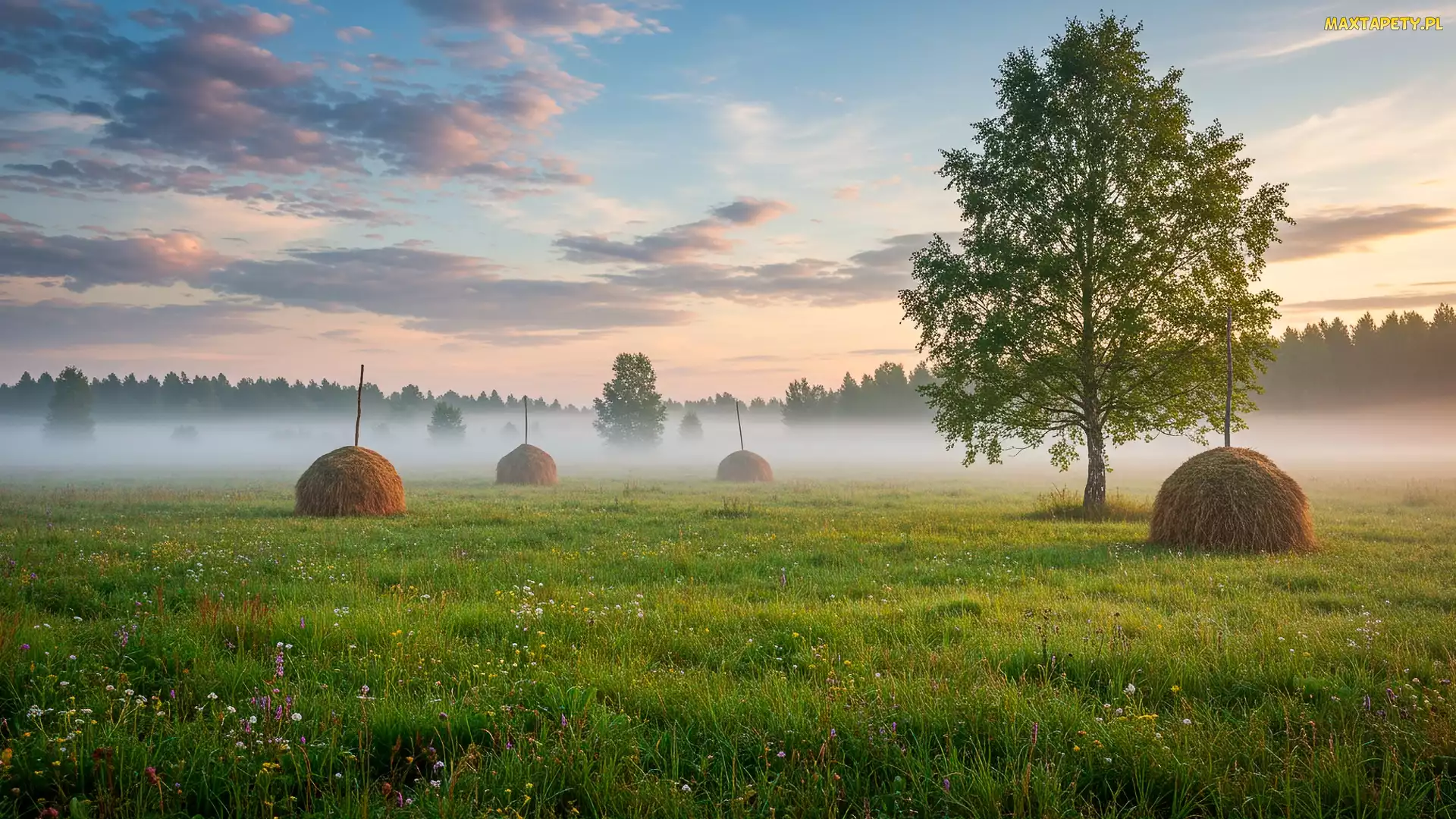 Mgła, Siano, Snopki, Poranek, Łąka