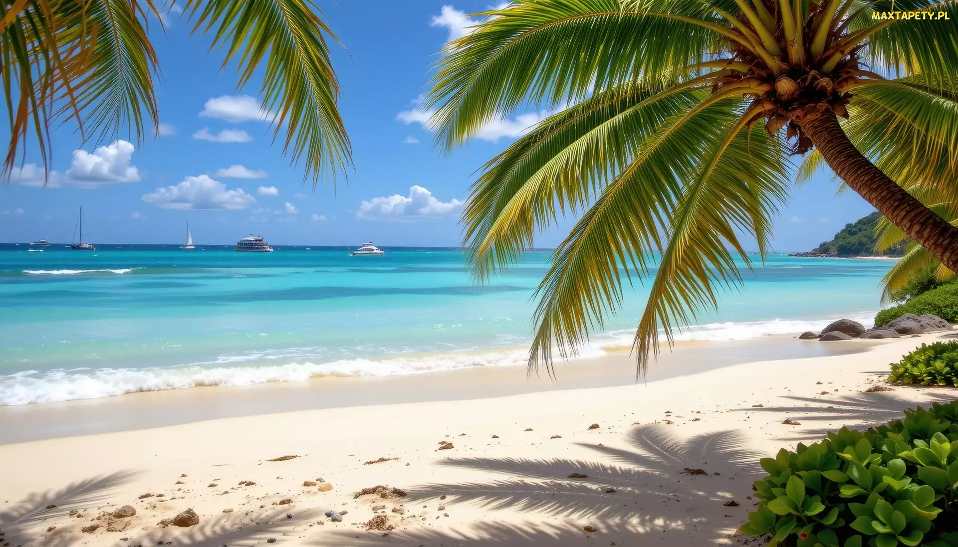 Tropiki, Jachty, Palmy, Grafika AI, Morze, Plaża, Niebo