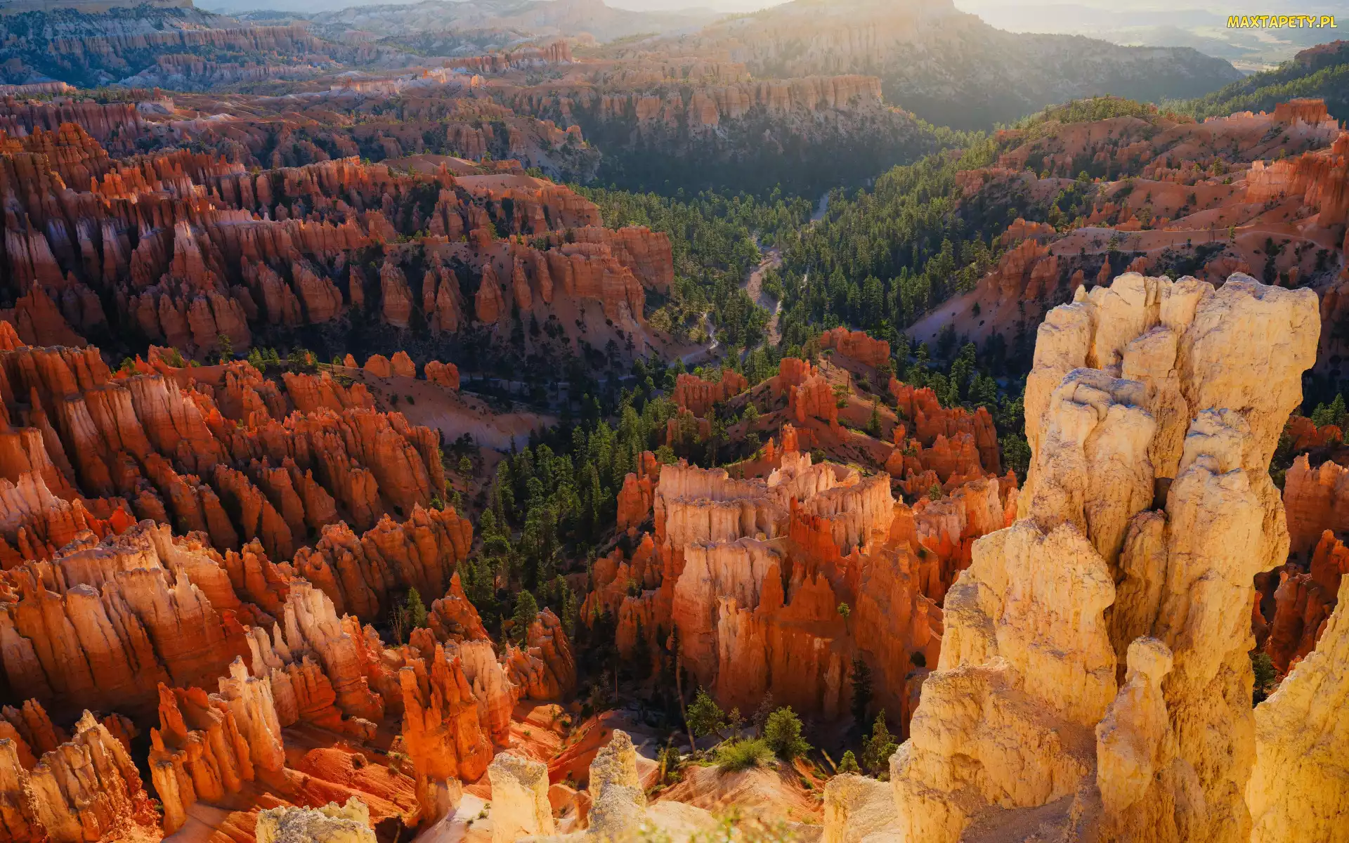 Drzewa, Skały, Utah, Stany Zjednoczone, Park Narodowy Bryce Canyon, Kanion