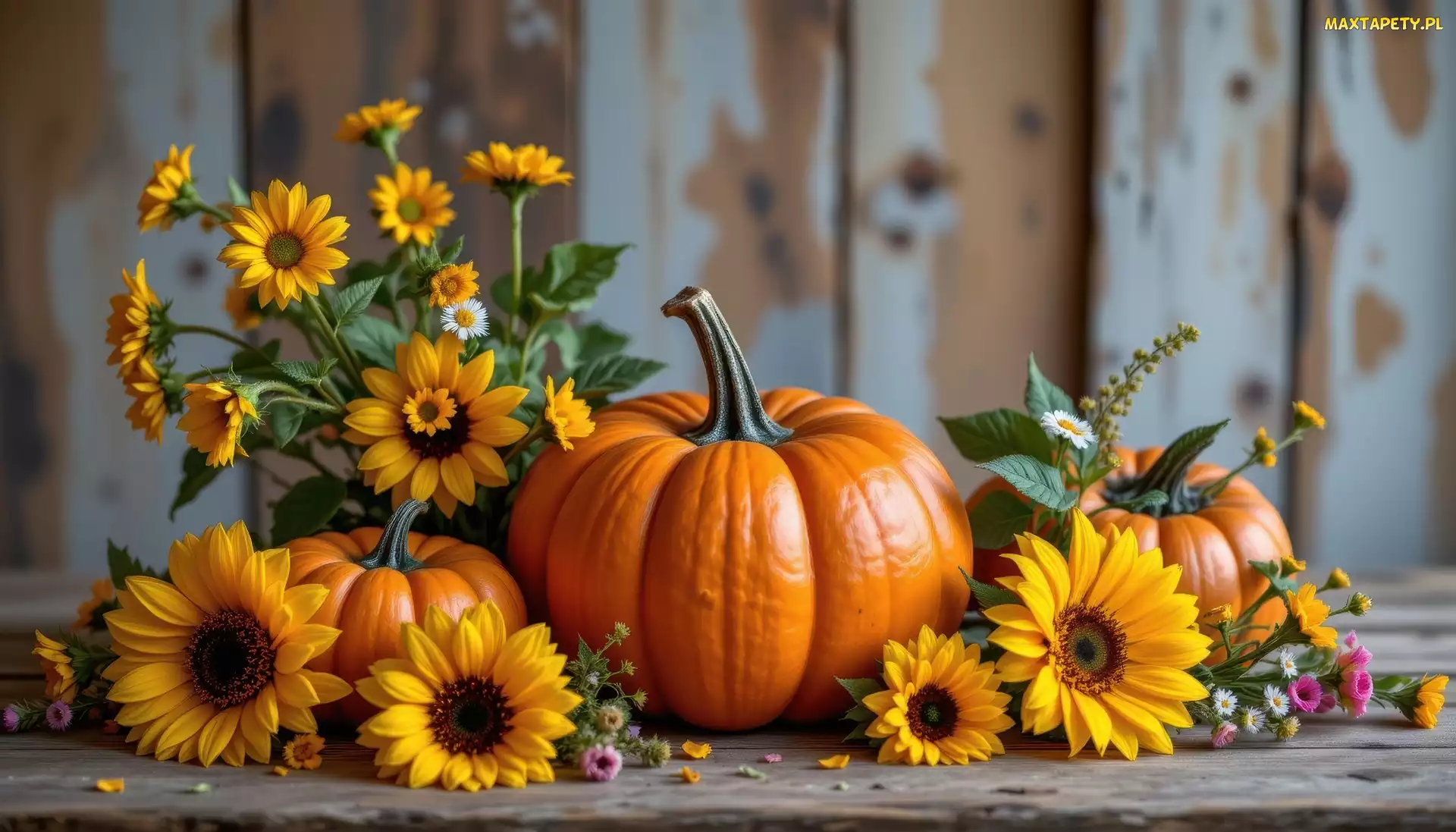 Grafika AI, Dynie, Słonecznik ozdobny, Kwiaty