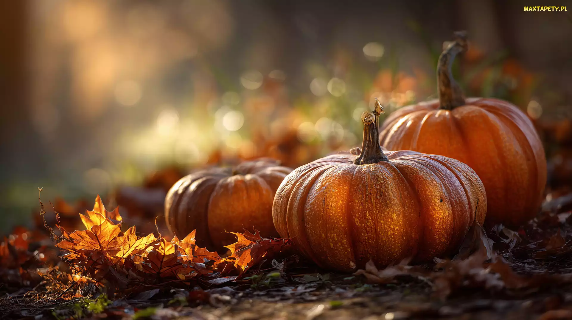 Grafika AI, Liście, Dynie, Suche