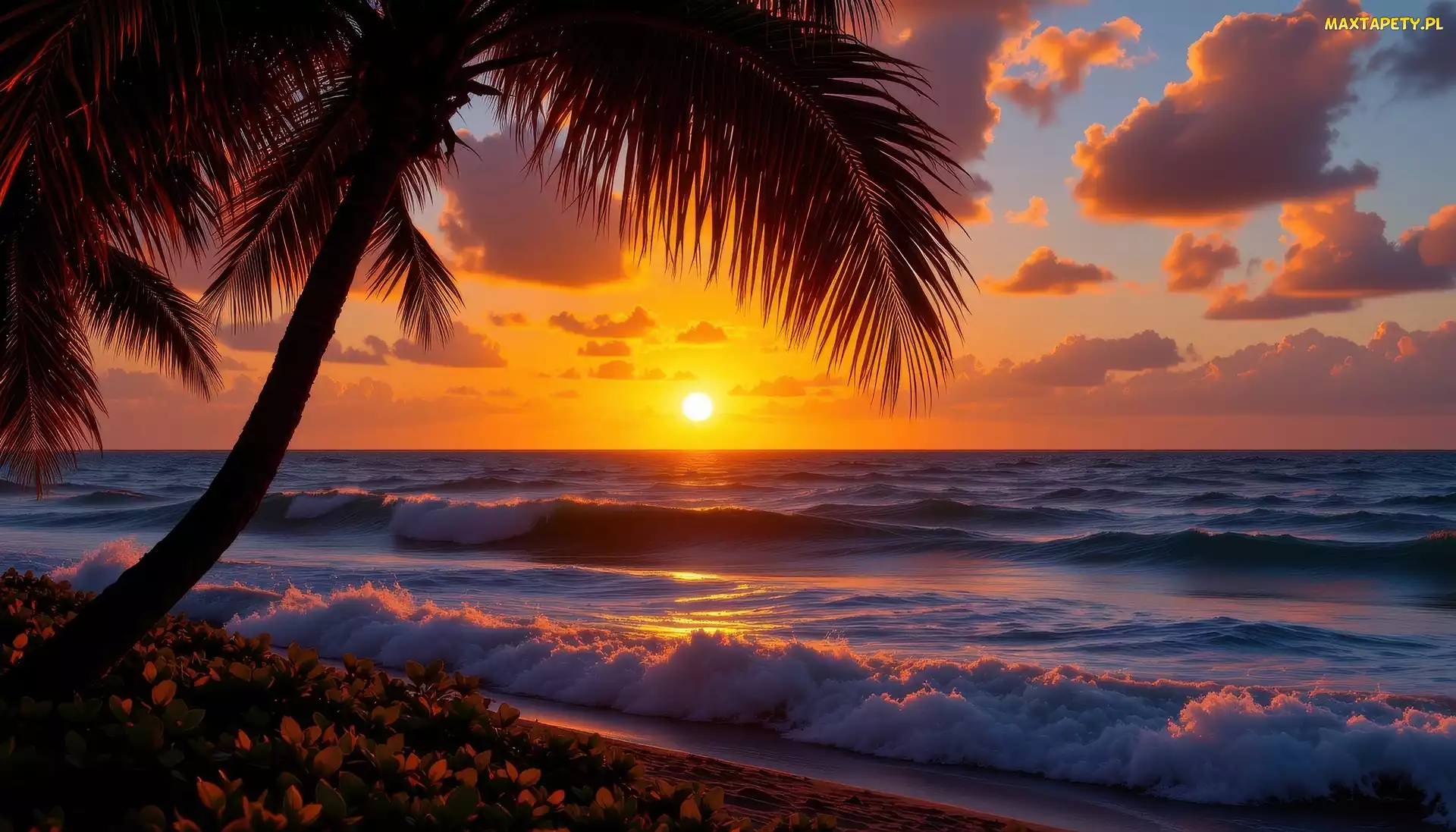 Grafika AI, Zachód słońca, Palma, Morze