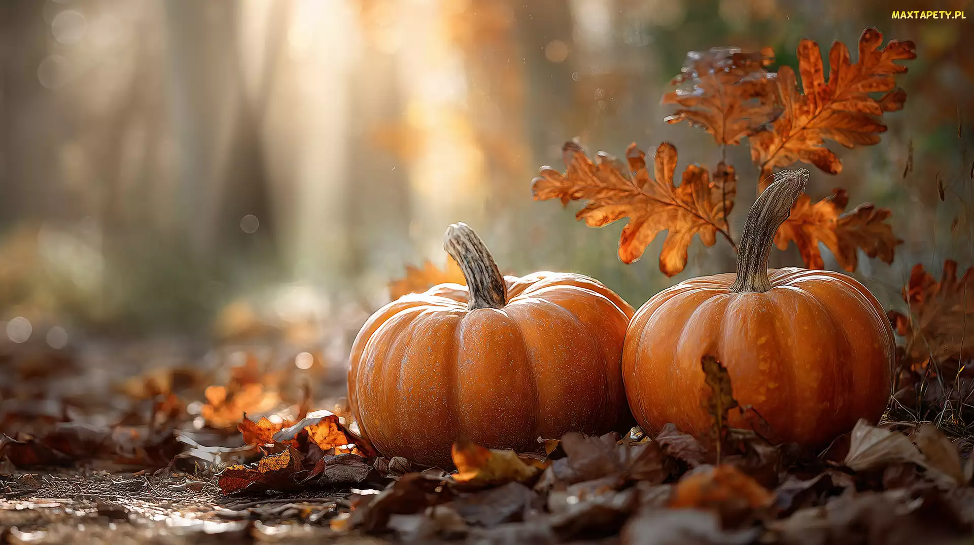 Dynie, Grafika AI, Liście, Jesienne, Dwie