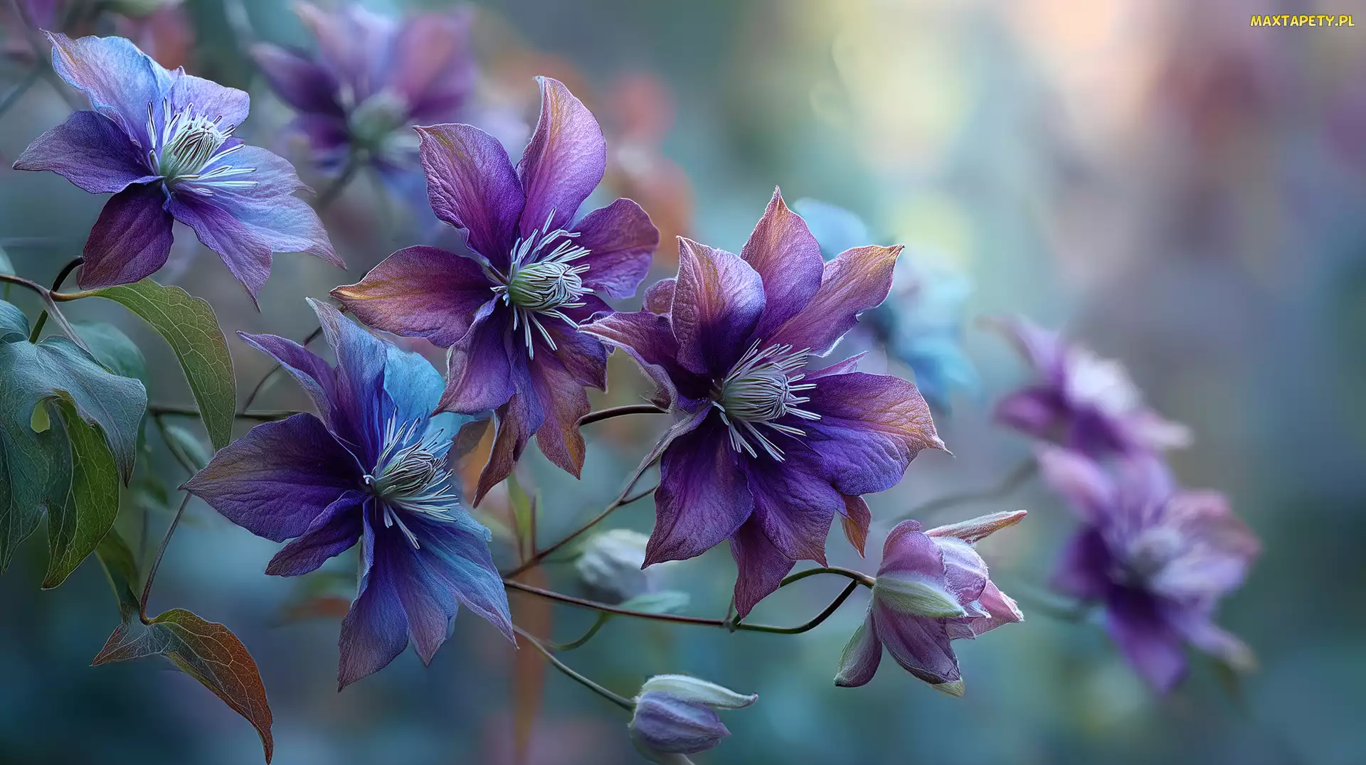 Grafika AI, Kwiaty, Powojnik, Fioletowe