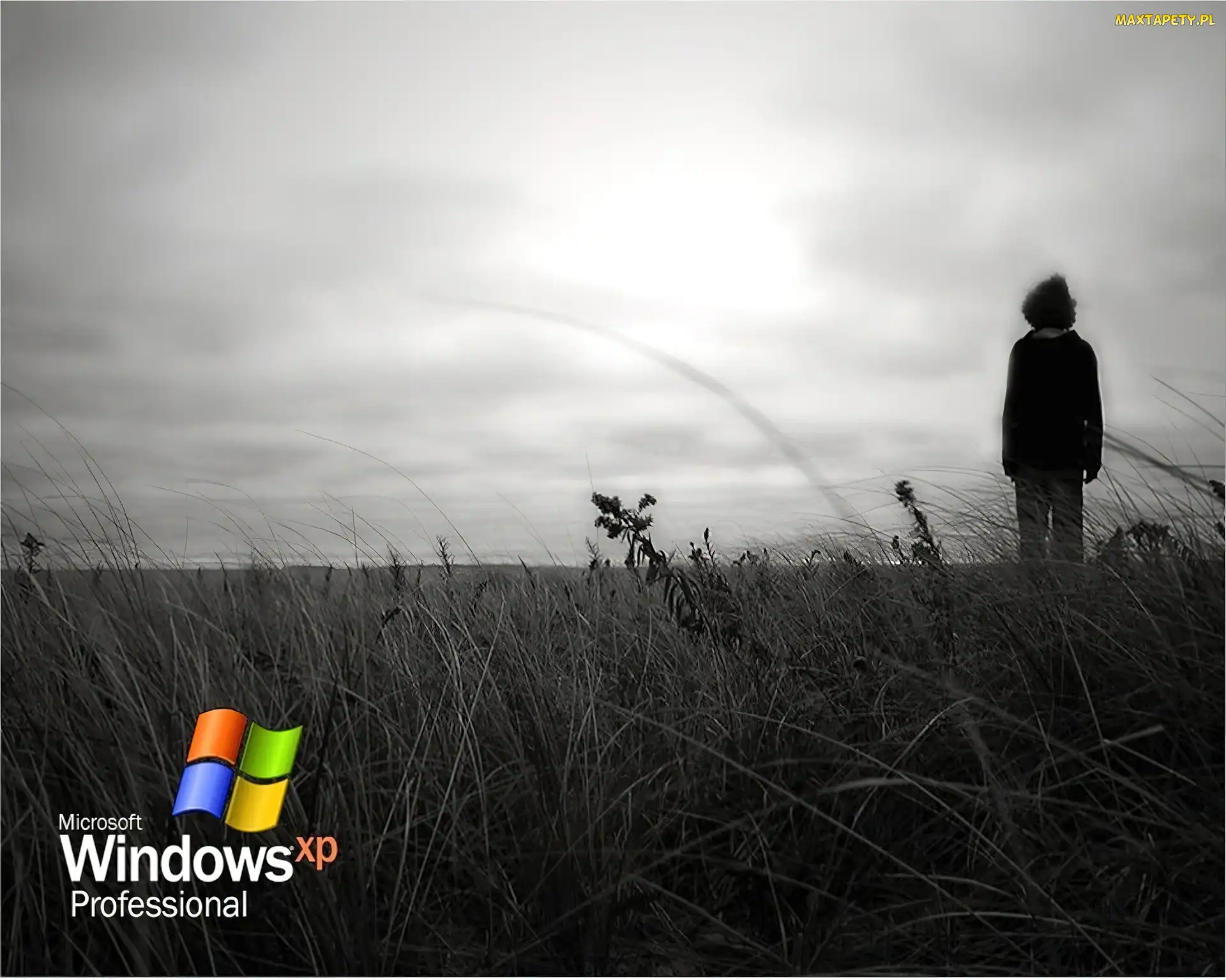 łąka, Człowiek, Windows XP, Professional
