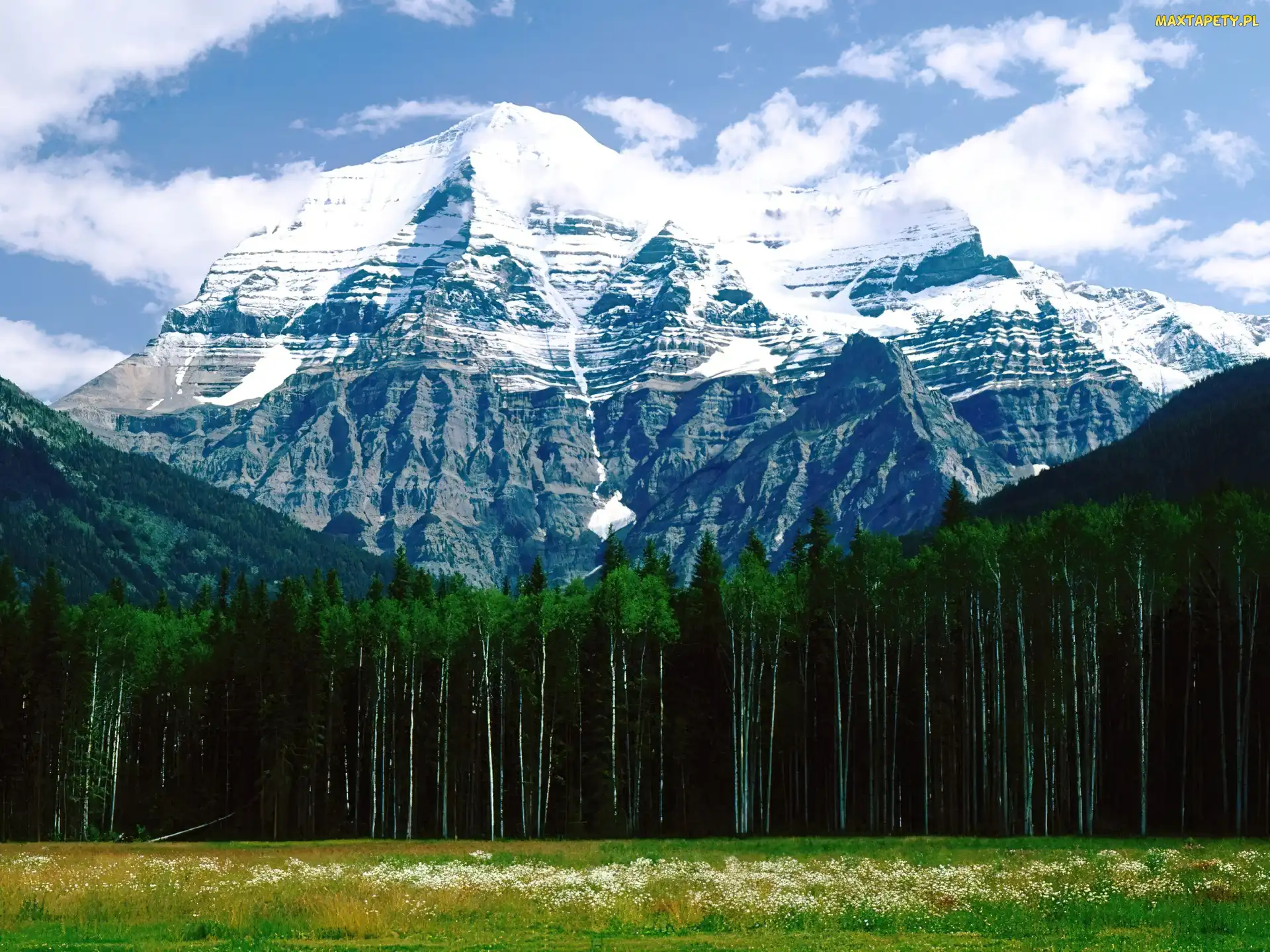 Góra, Las, Kanada