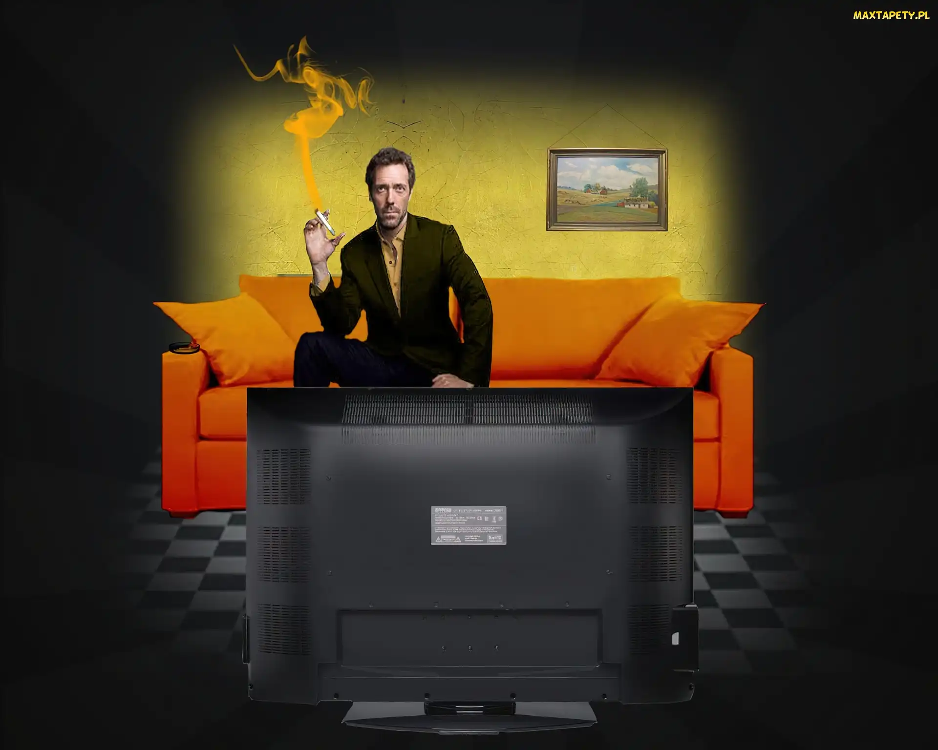 Hugh Lauriego, Telewizor, Dr. House