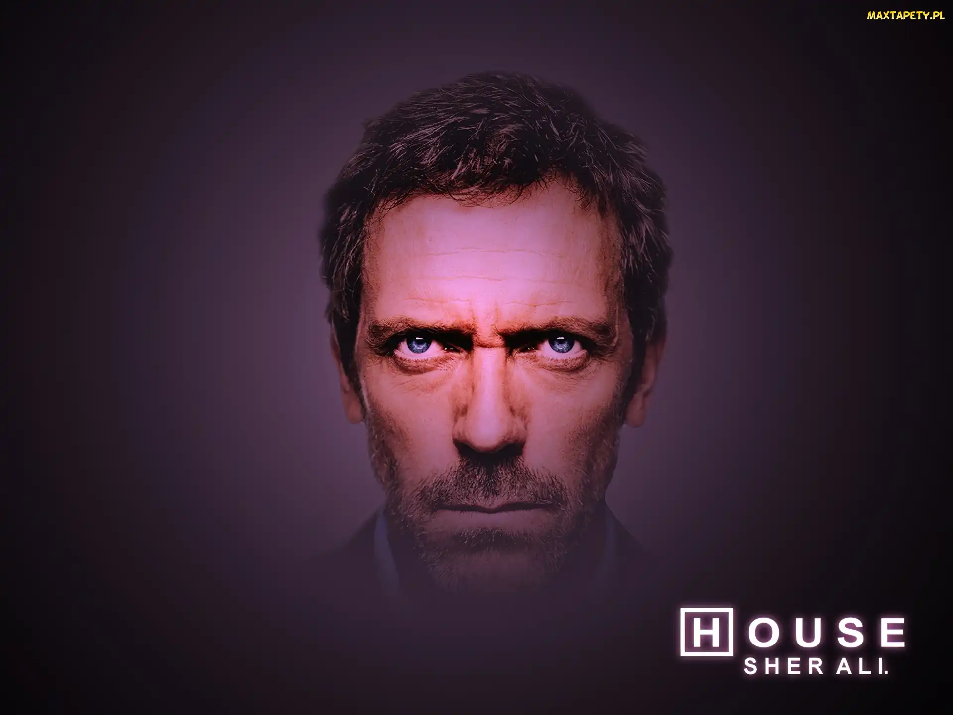 Hugh Lauriego, Głowa, Dr. House